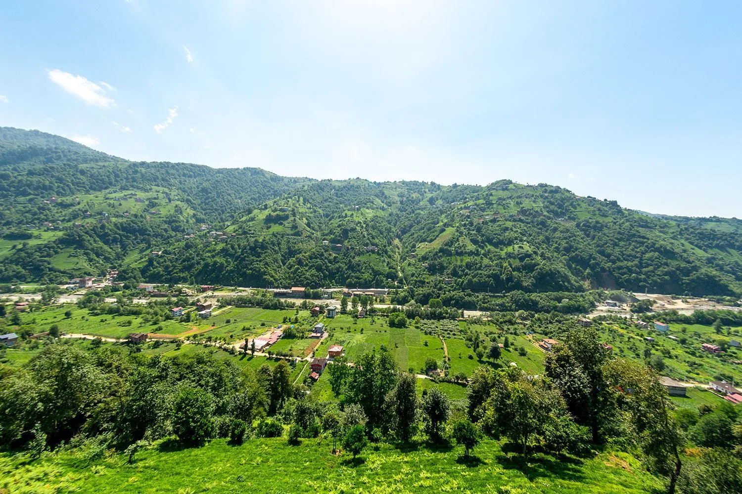 Restaurant/places to eat in Pavri suit bungalov