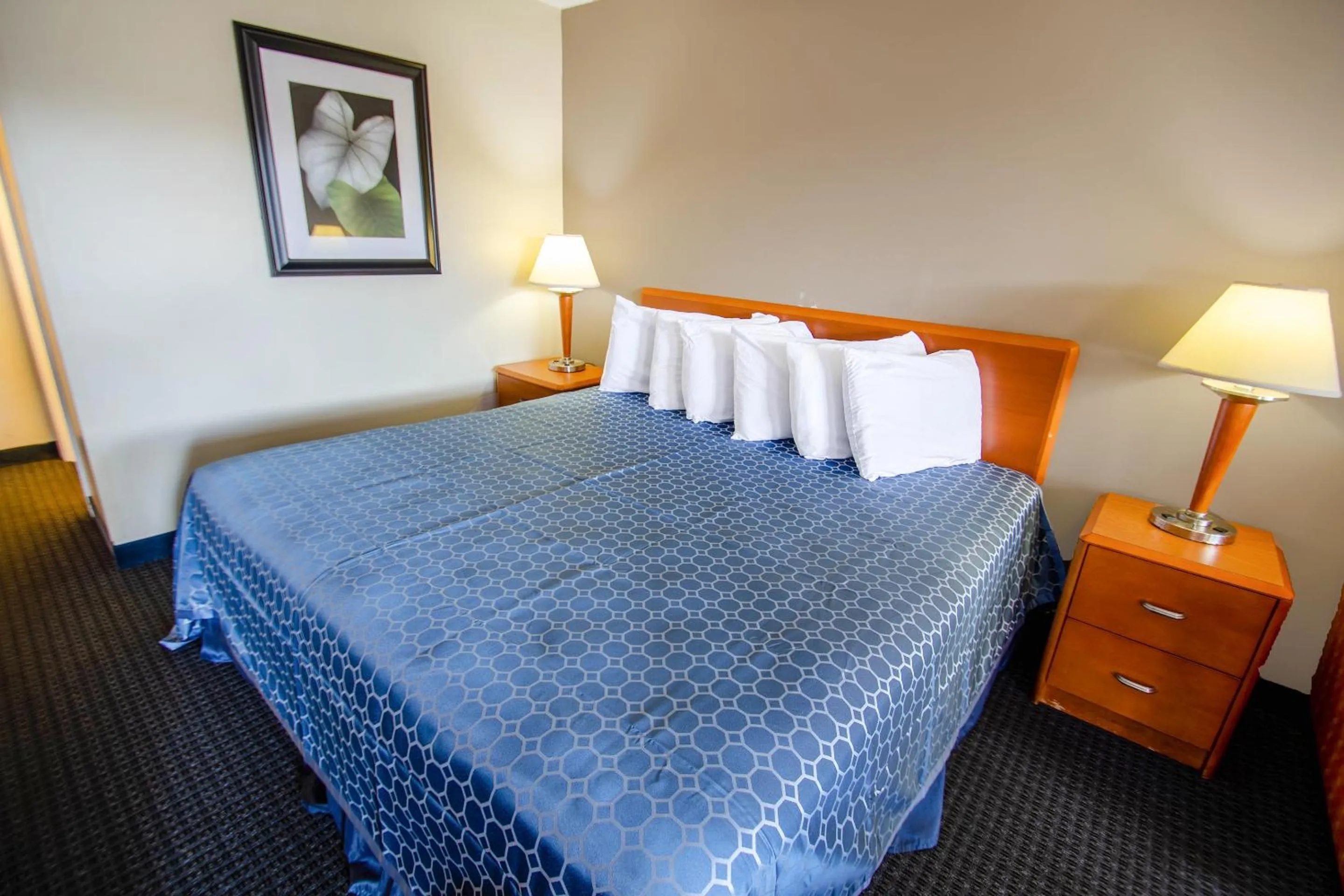 Bedroom, Bed in Sportsman's Inn Plymouth 252-793-3095