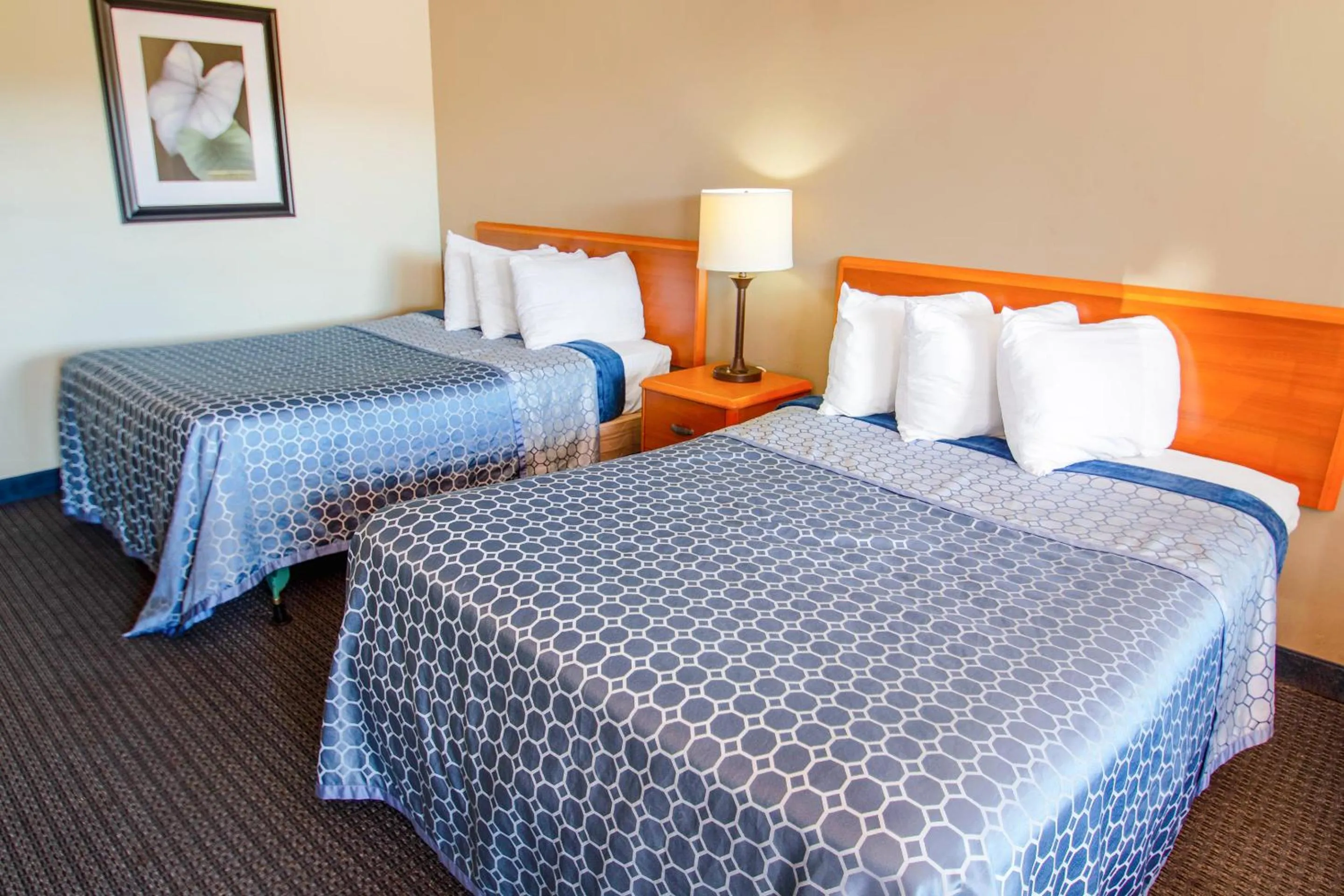 Bedroom, Bed in Sportsman's Inn Plymouth 252-793-3095