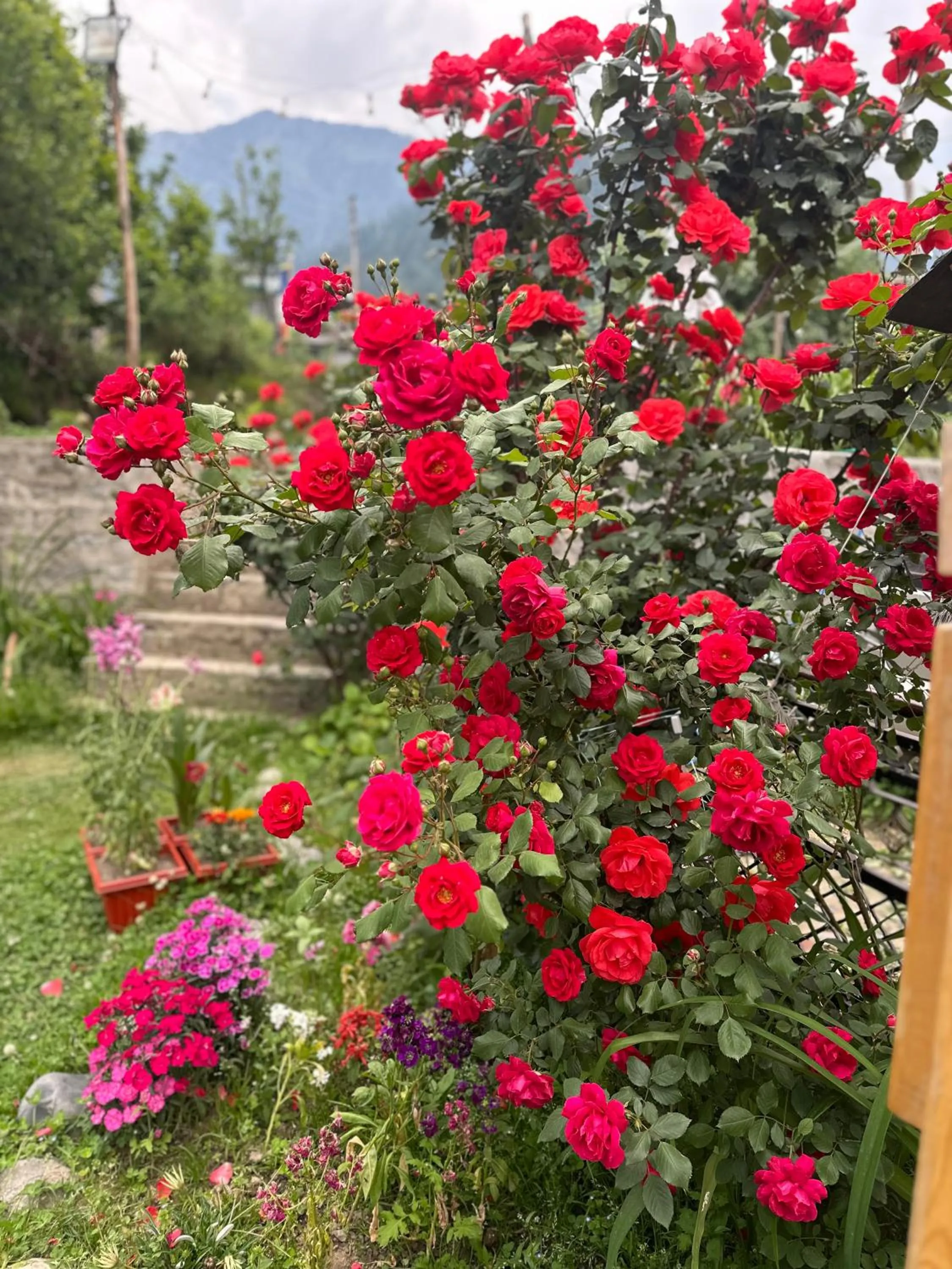 Natural landscape in Amarys Boutique Stays Manali