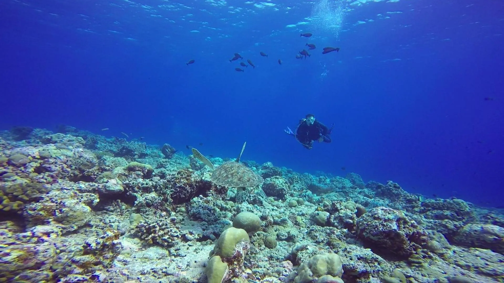 Activities in Sky Beach Maldives - Dhiffushi
