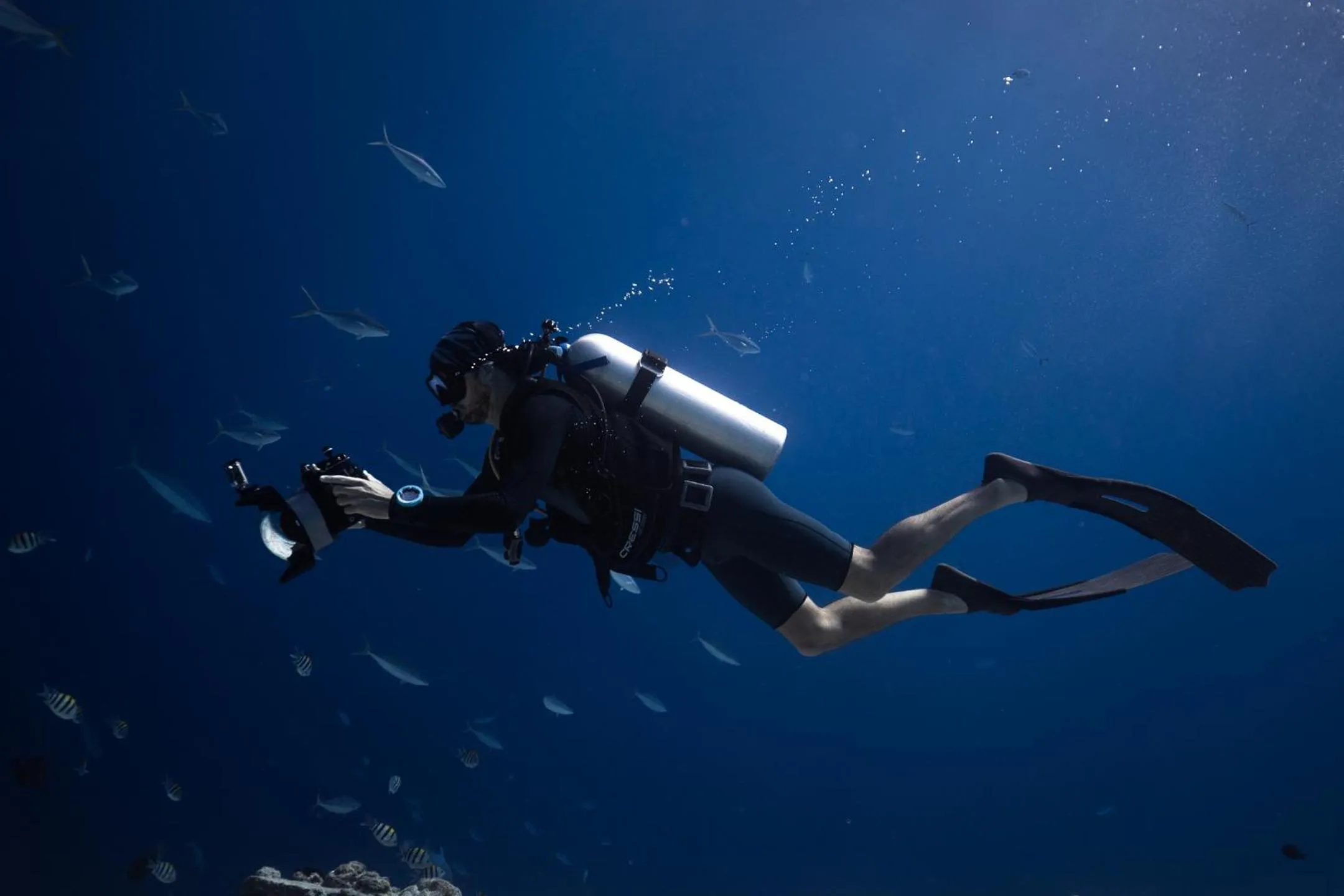 Diving in Sky Beach Maldives - Dhiffushi