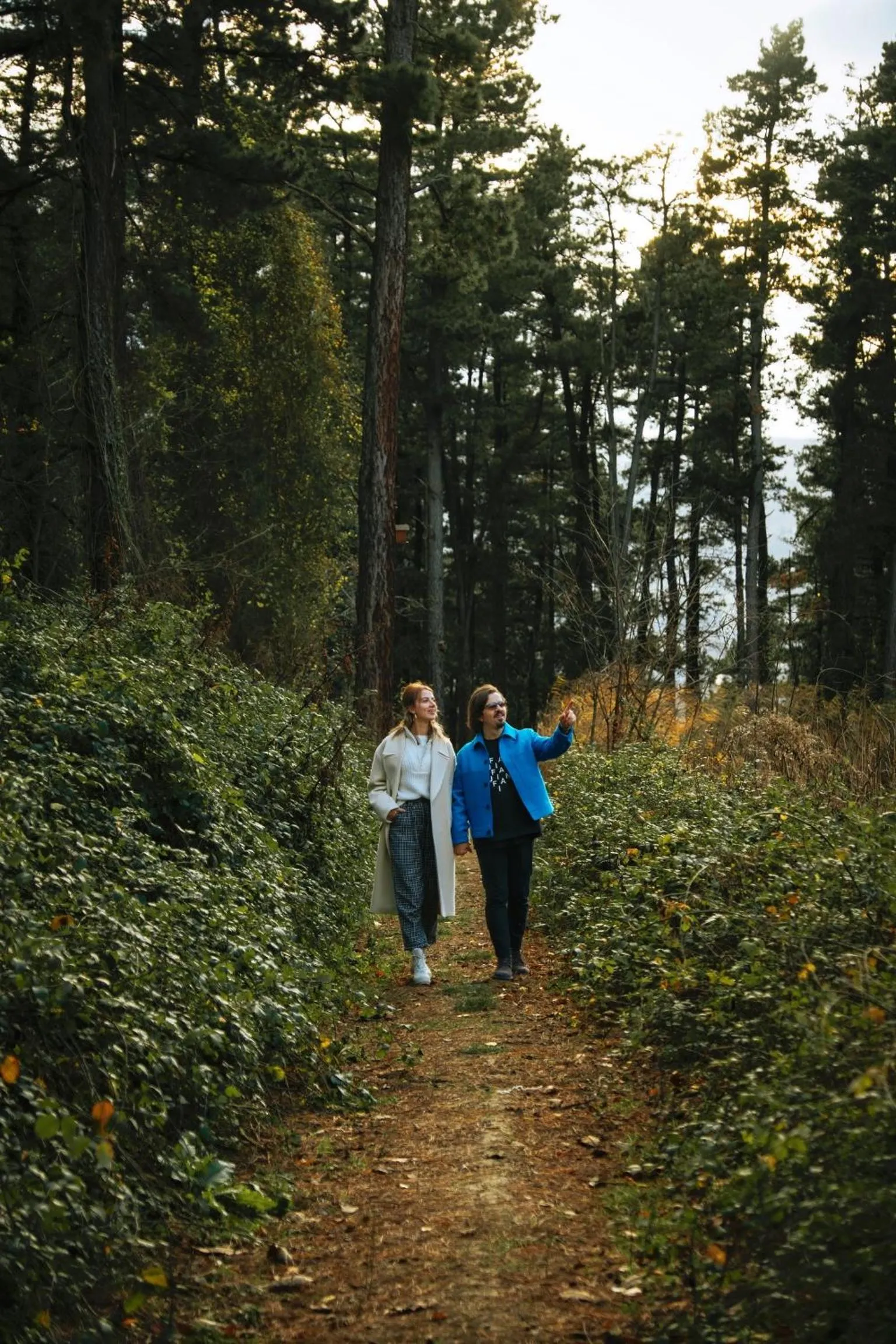 Hiking in Woodlodge Country Sapanca