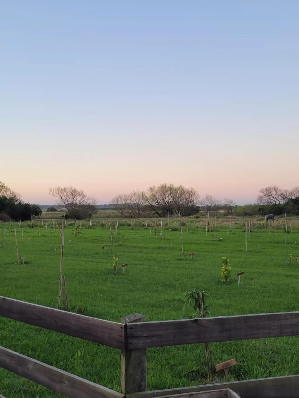 Pousada e Lazer MARICÁ