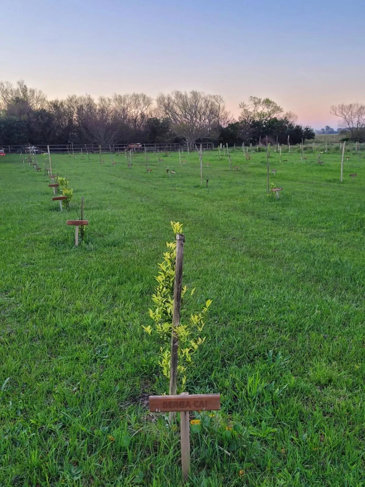 Pousada e Lazer MARICÁ