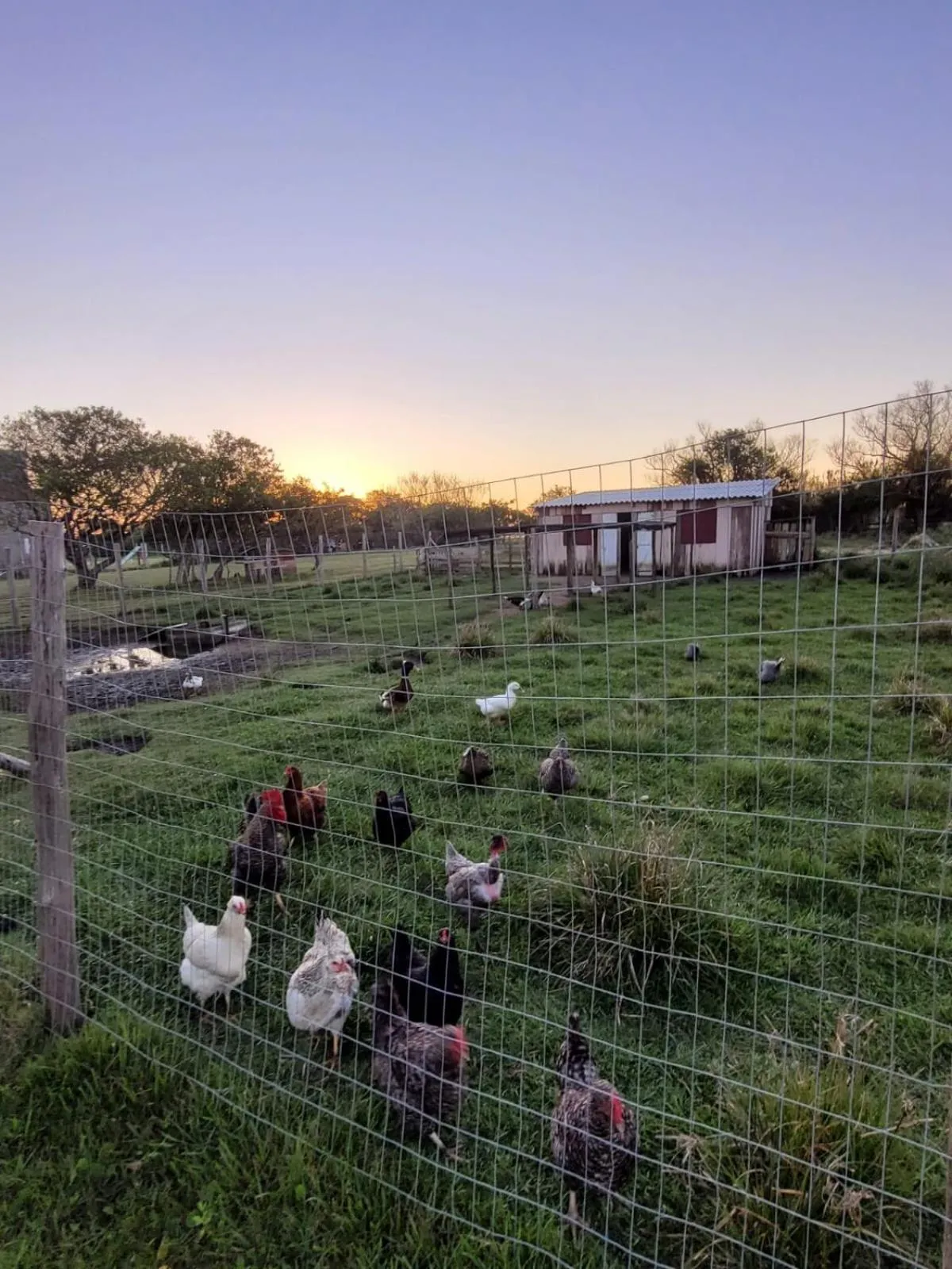 Pousada e Lazer MARICÁ