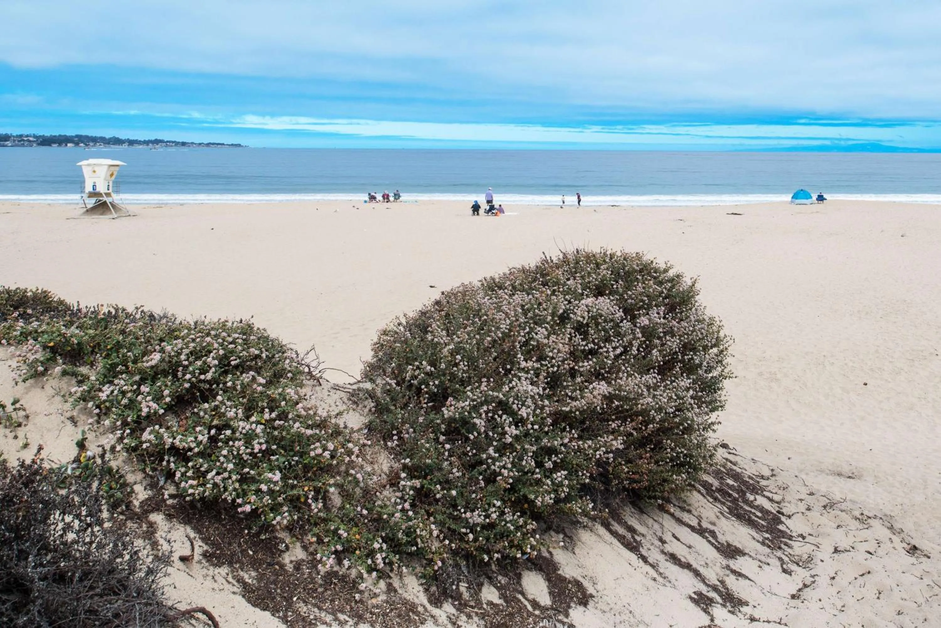 Beach in Hampton Inn Monterey