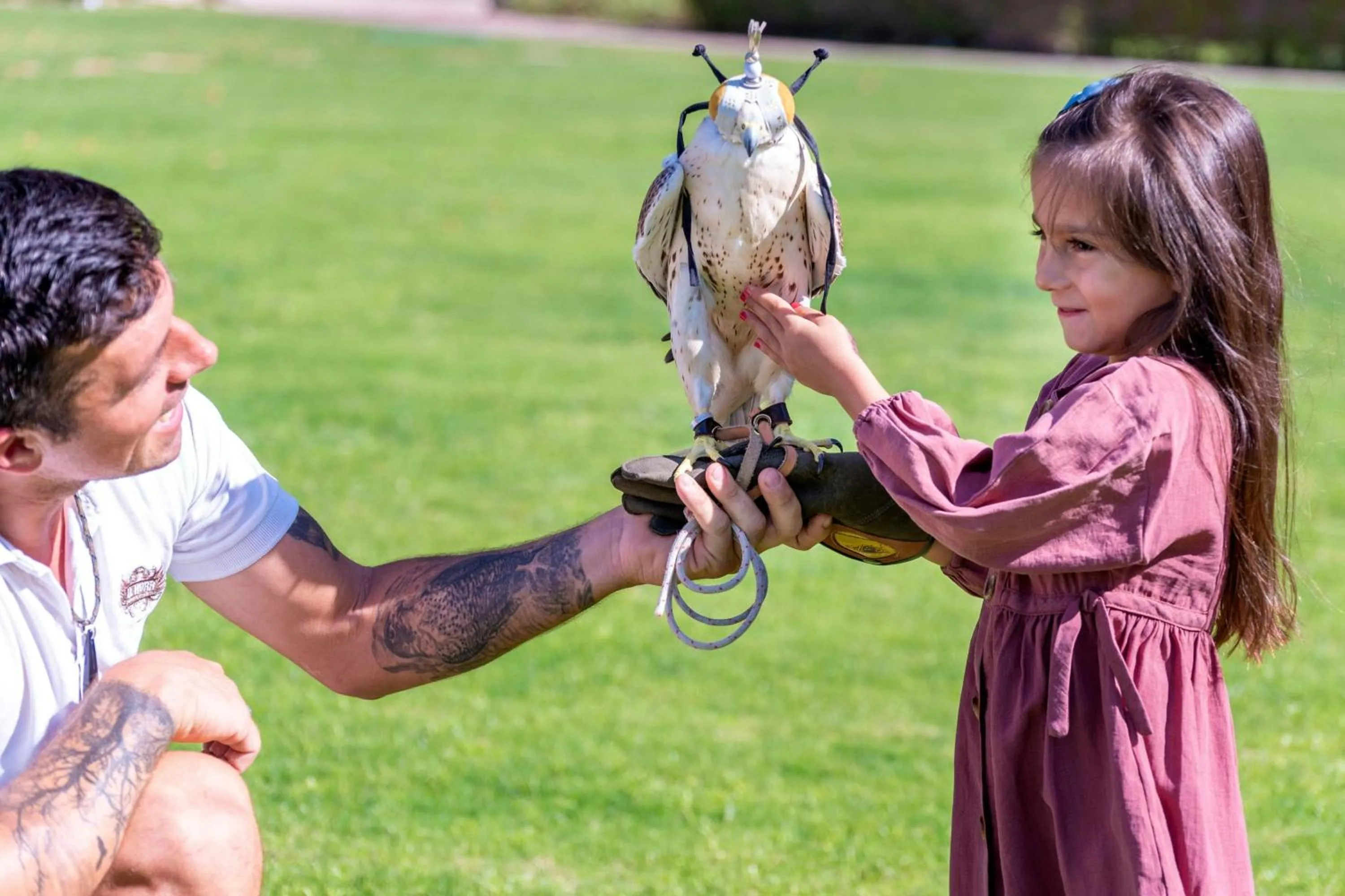 Restaurant/places to eat in The Ritz-Carlton, Dubai