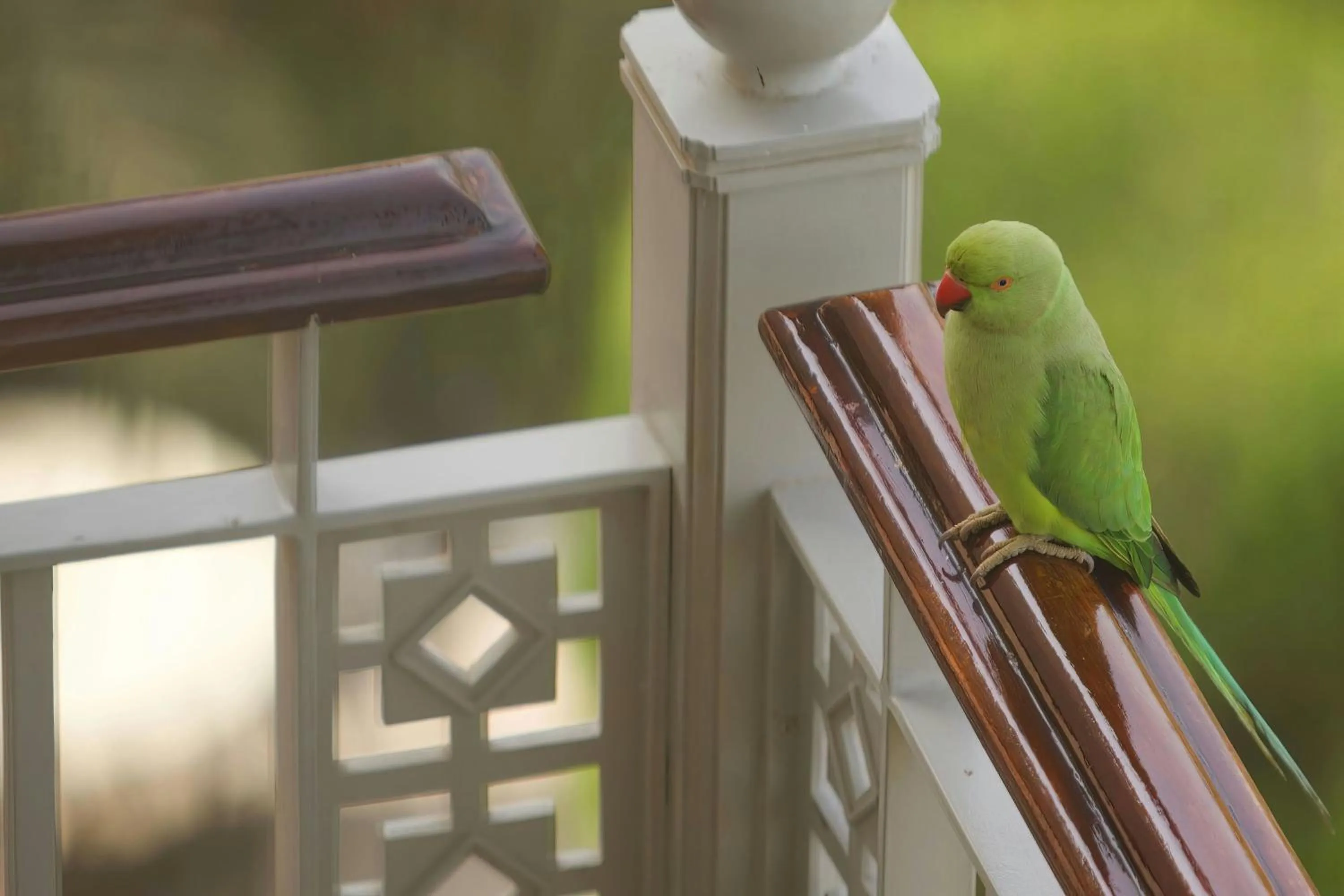 Other in The Ritz-Carlton, Dubai