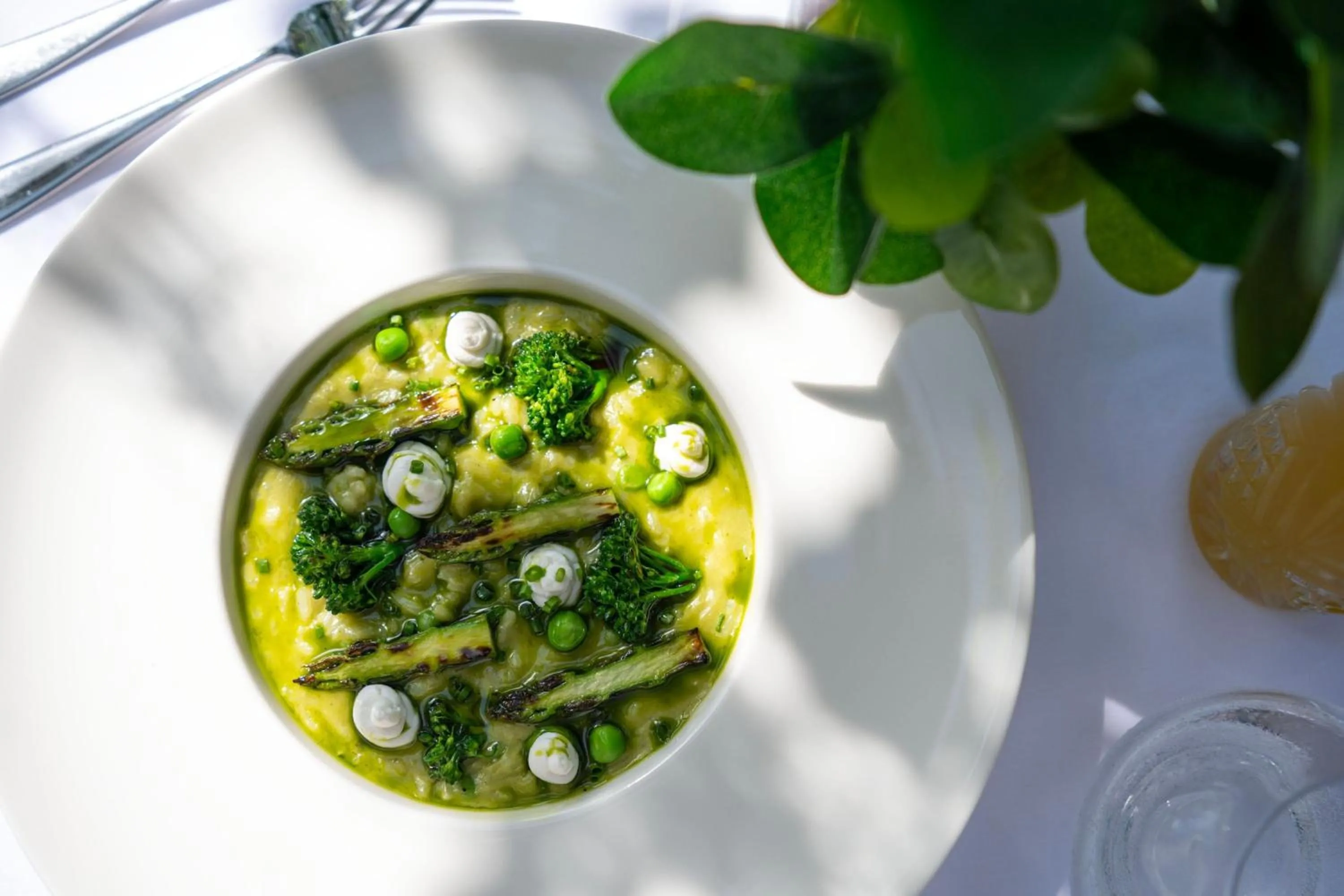 Restaurant/places to eat in The Ritz-Carlton, Dubai