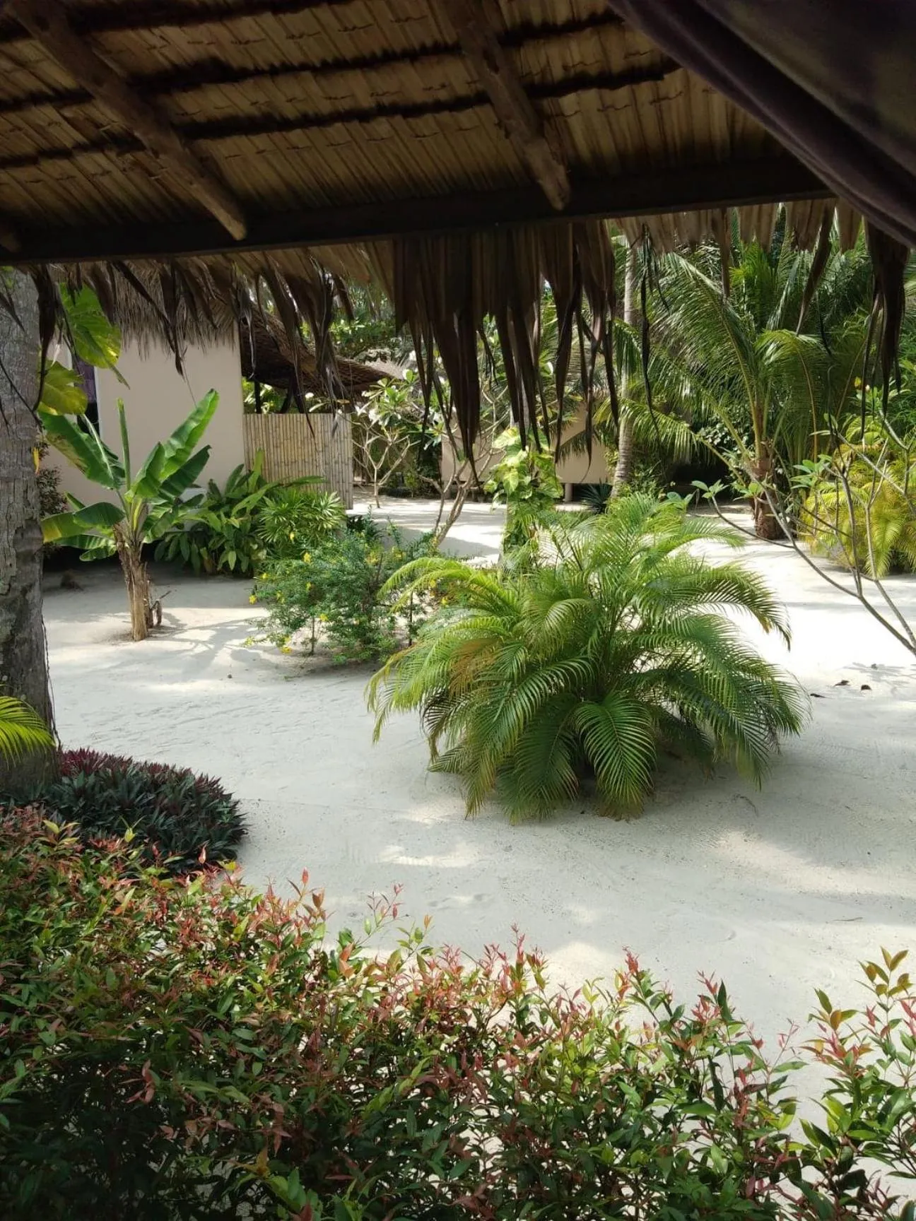 Garden in Angkana Bungalows adults only