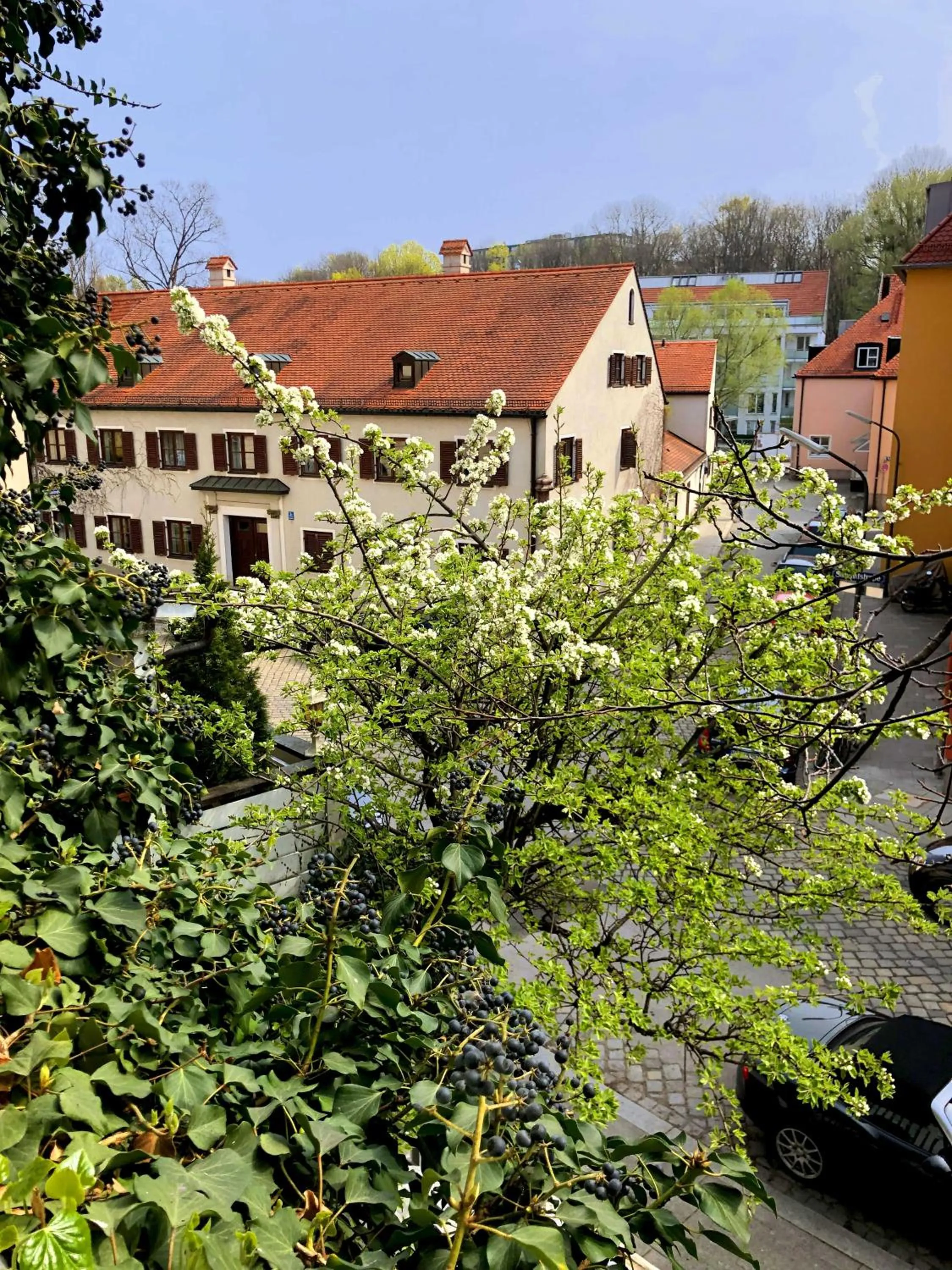 Garden in Hotel Mariahilf München