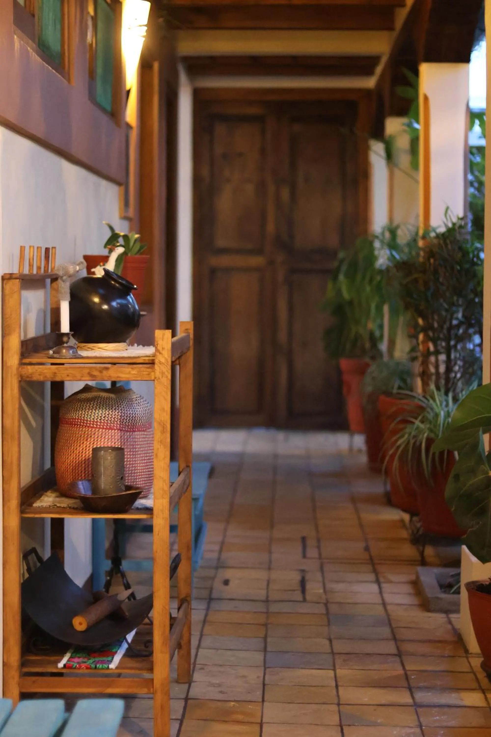 Garden in Hotel El Zaguán Histórico