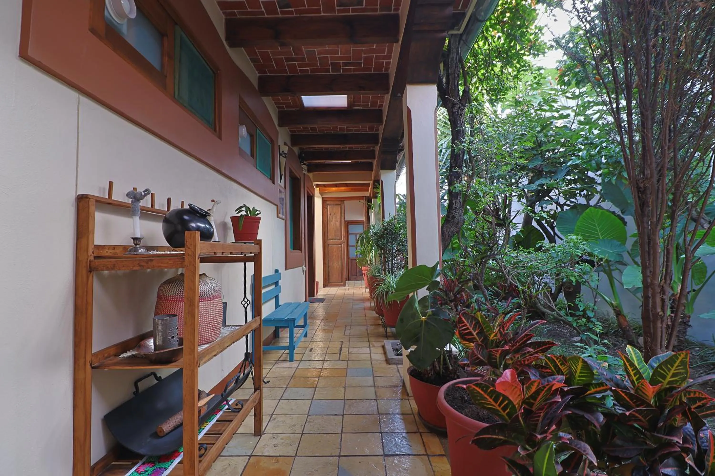 Garden in Hotel El Zaguán Histórico