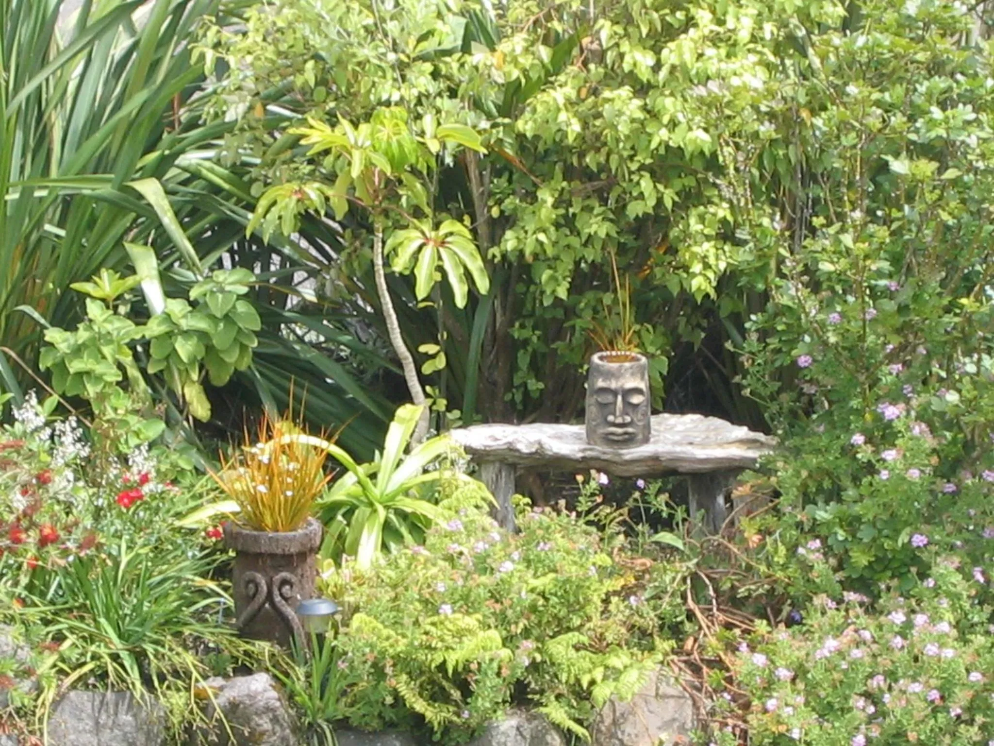 Garden in Moanarua Beach Cottage