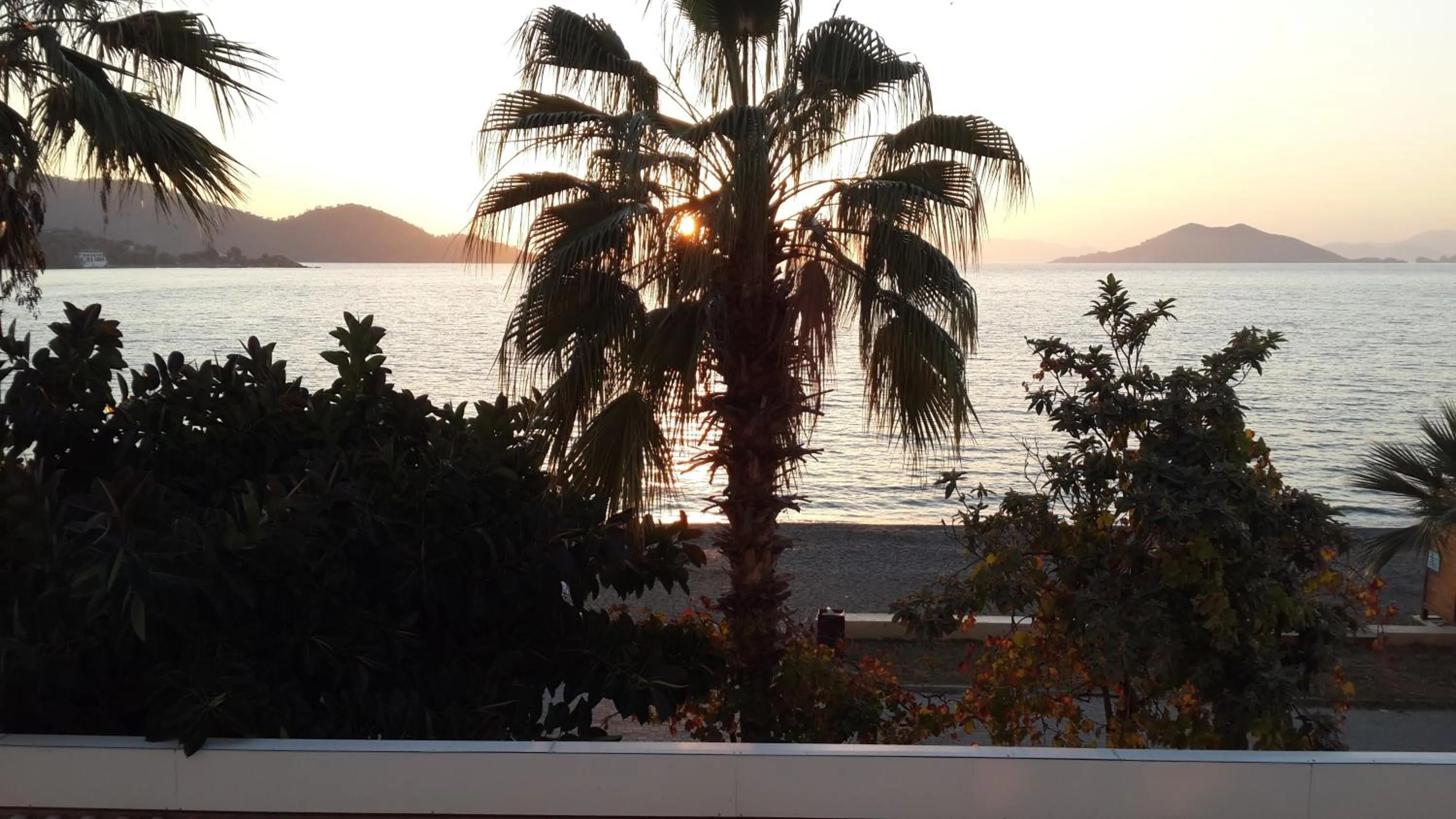 View (from property/room) in Hotel Berlin