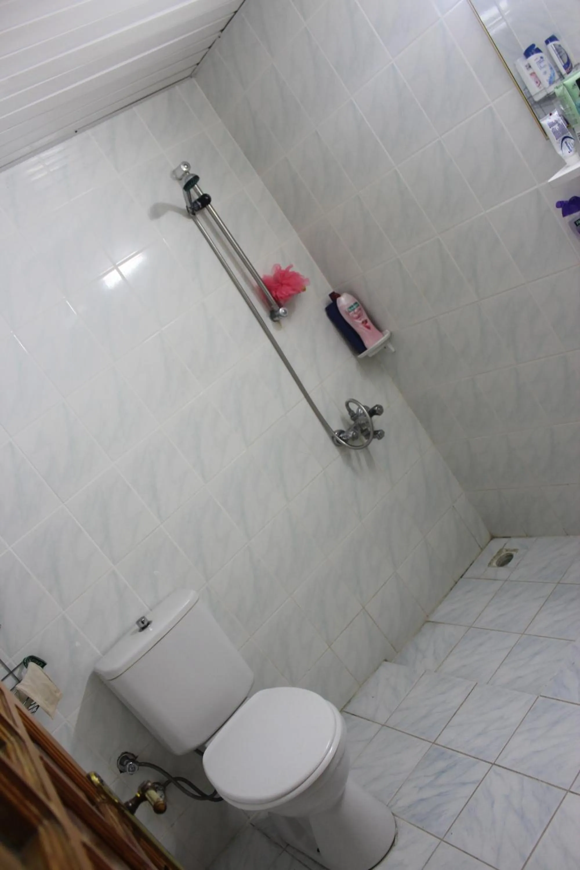 Shower in Hotel Berlin