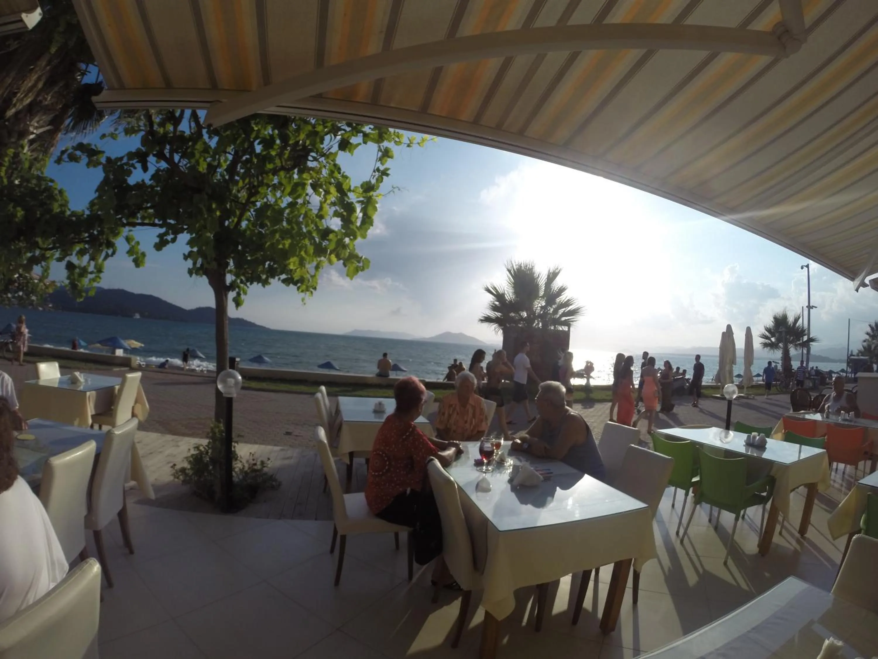 Restaurant/places to eat in Hotel Berlin