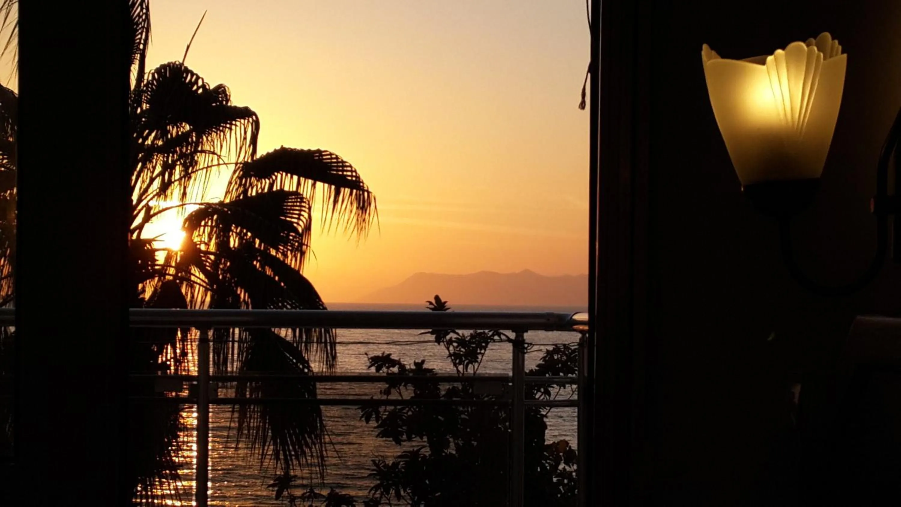 Balcony/Terrace in Hotel Berlin