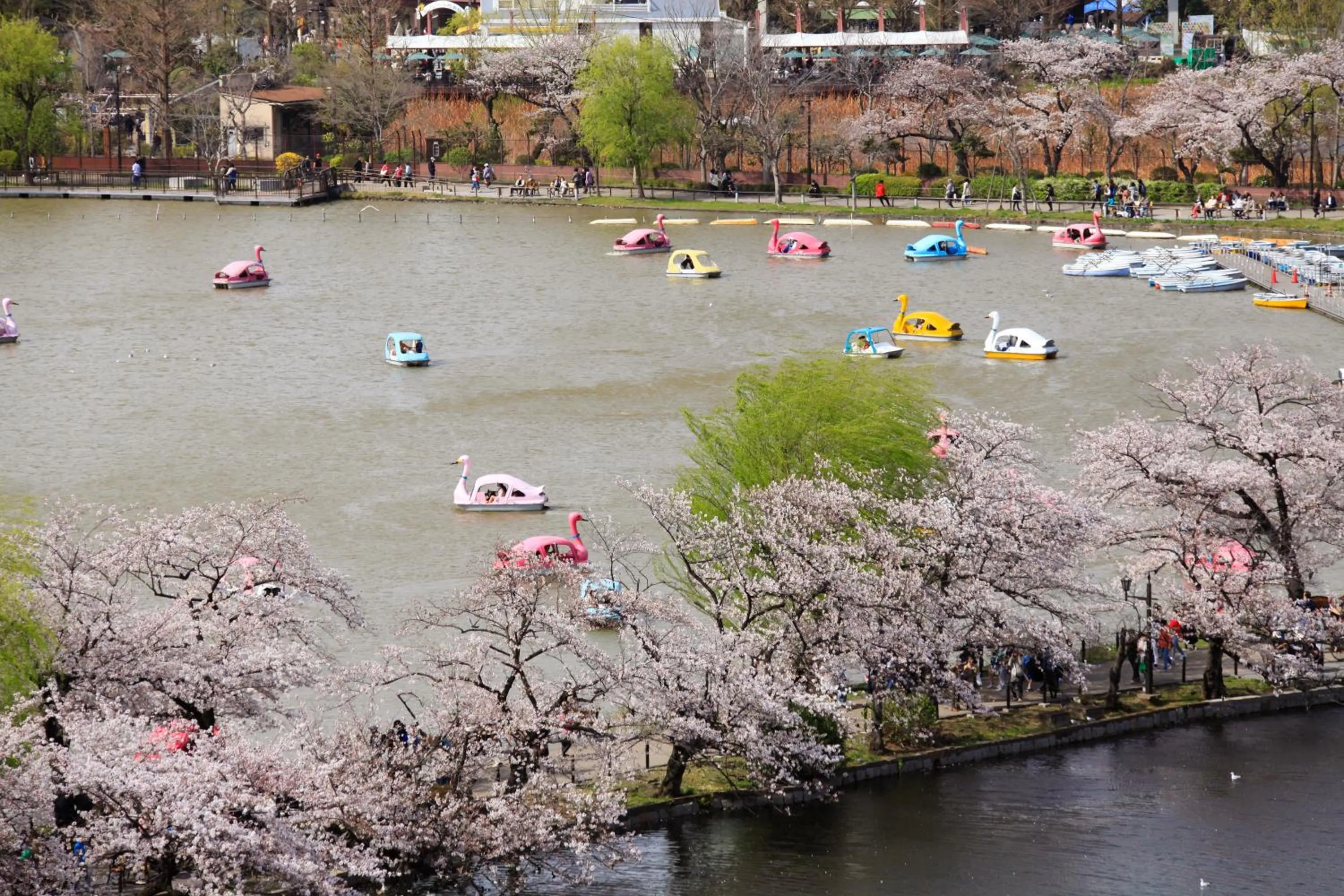 Off site in Ueno Station Hostel Oriental 1 Male Only