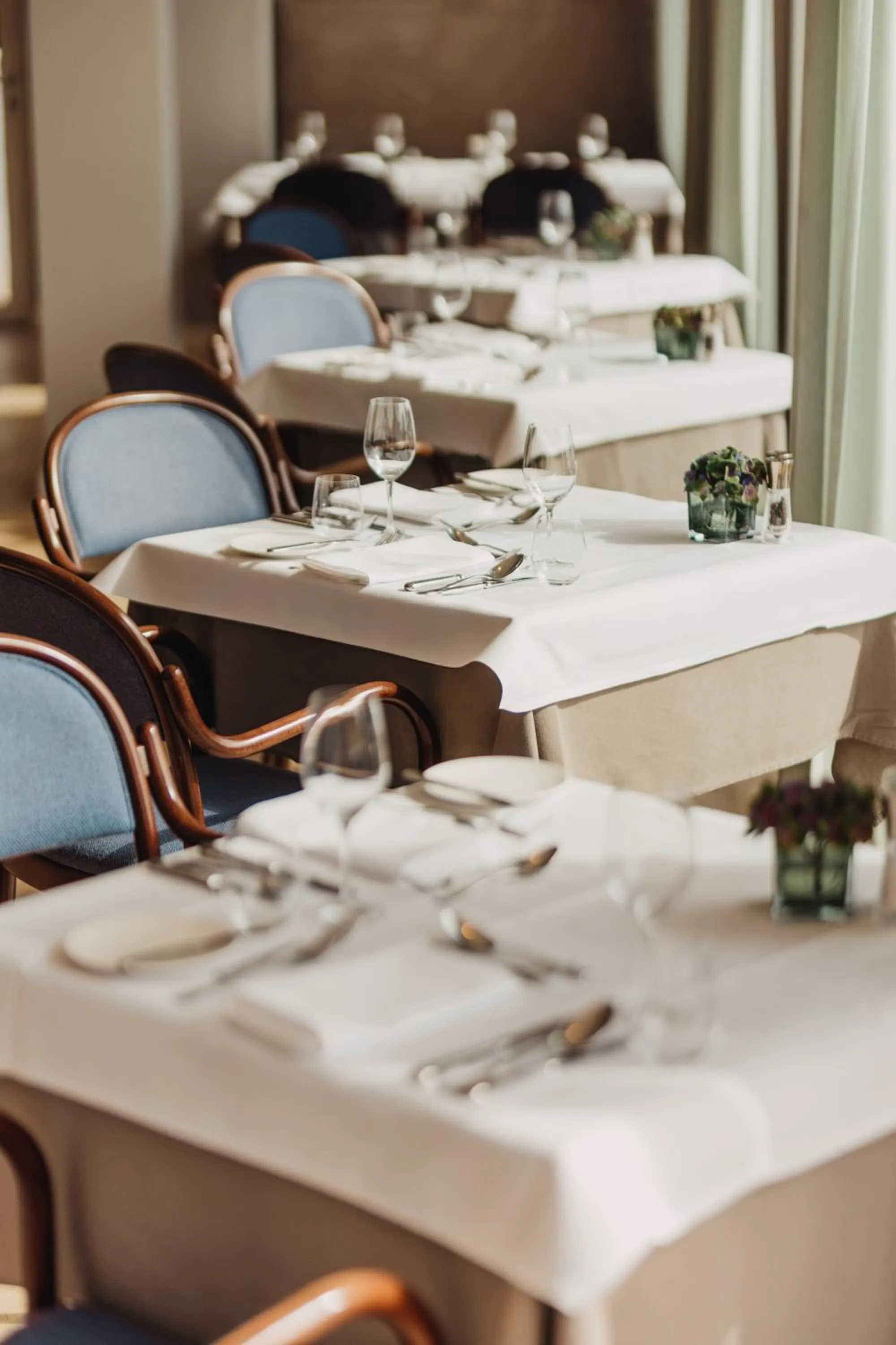 Restaurant/places to eat in Seehotel Dr. Jilly