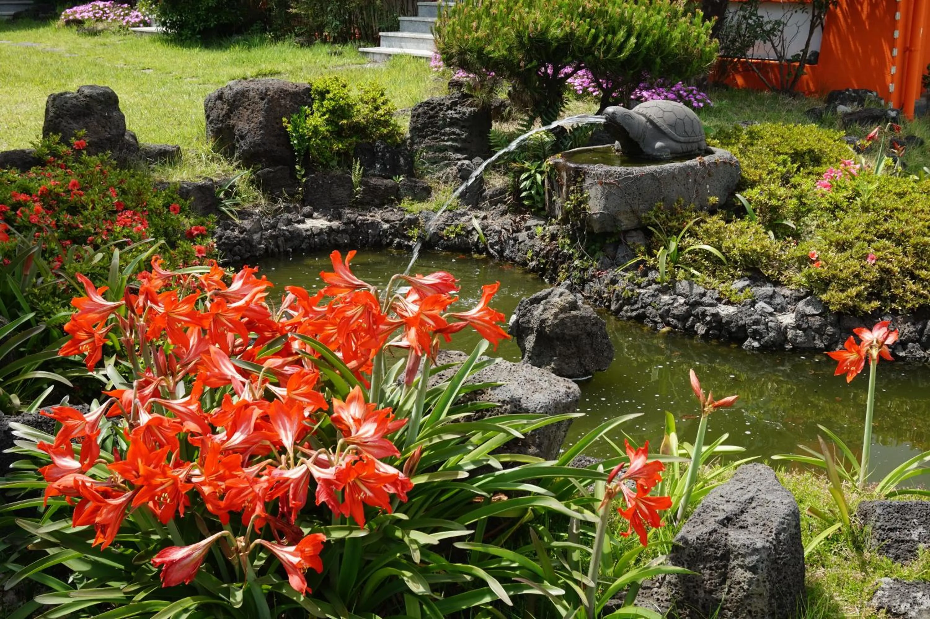 Garden view in Jeju Feel House