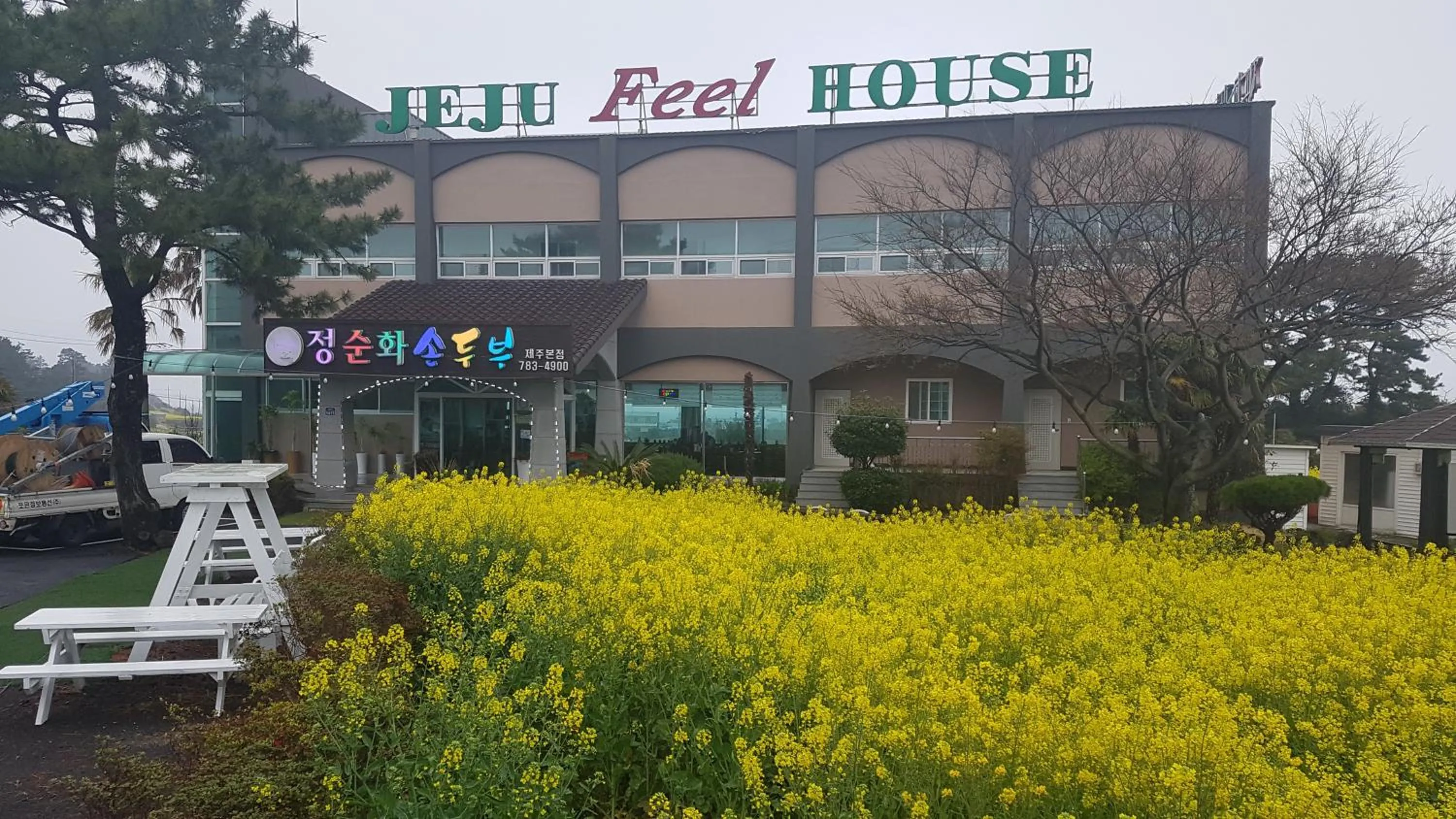 Property building in Jeju Feel House