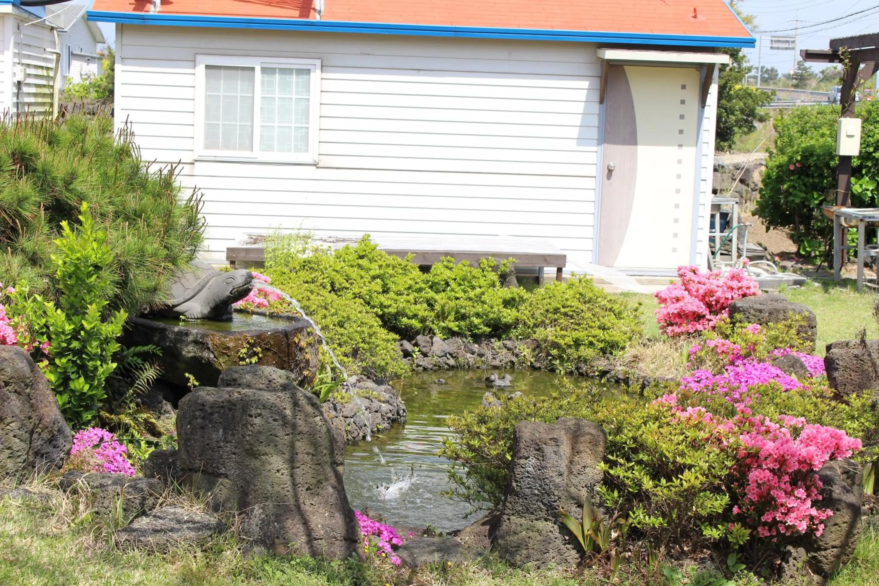 Garden in Jeju Feel House