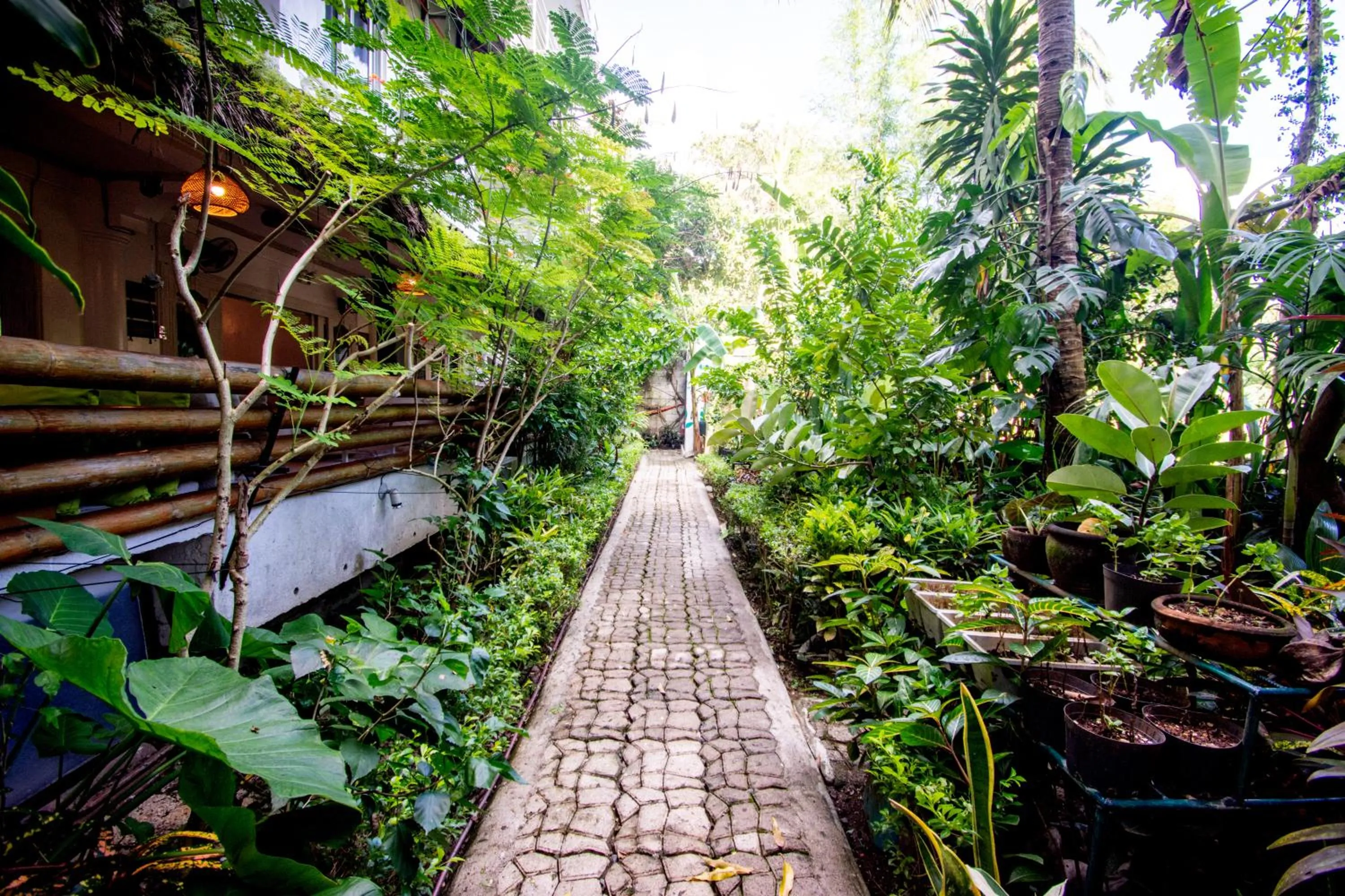 Garden in Lanterna Hotel Boracay