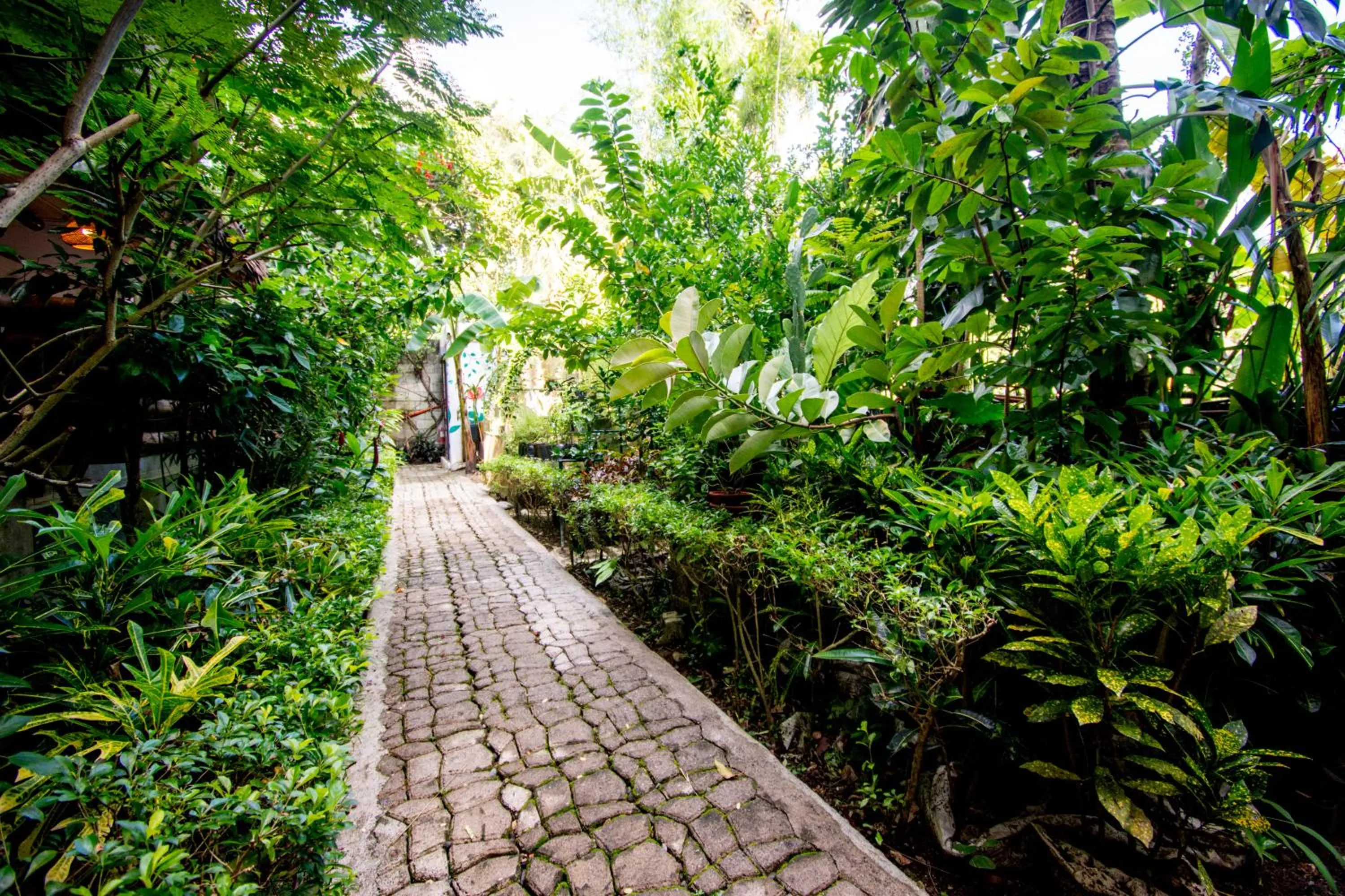 Superior with Balcony in Lanterna Hotel Boracay