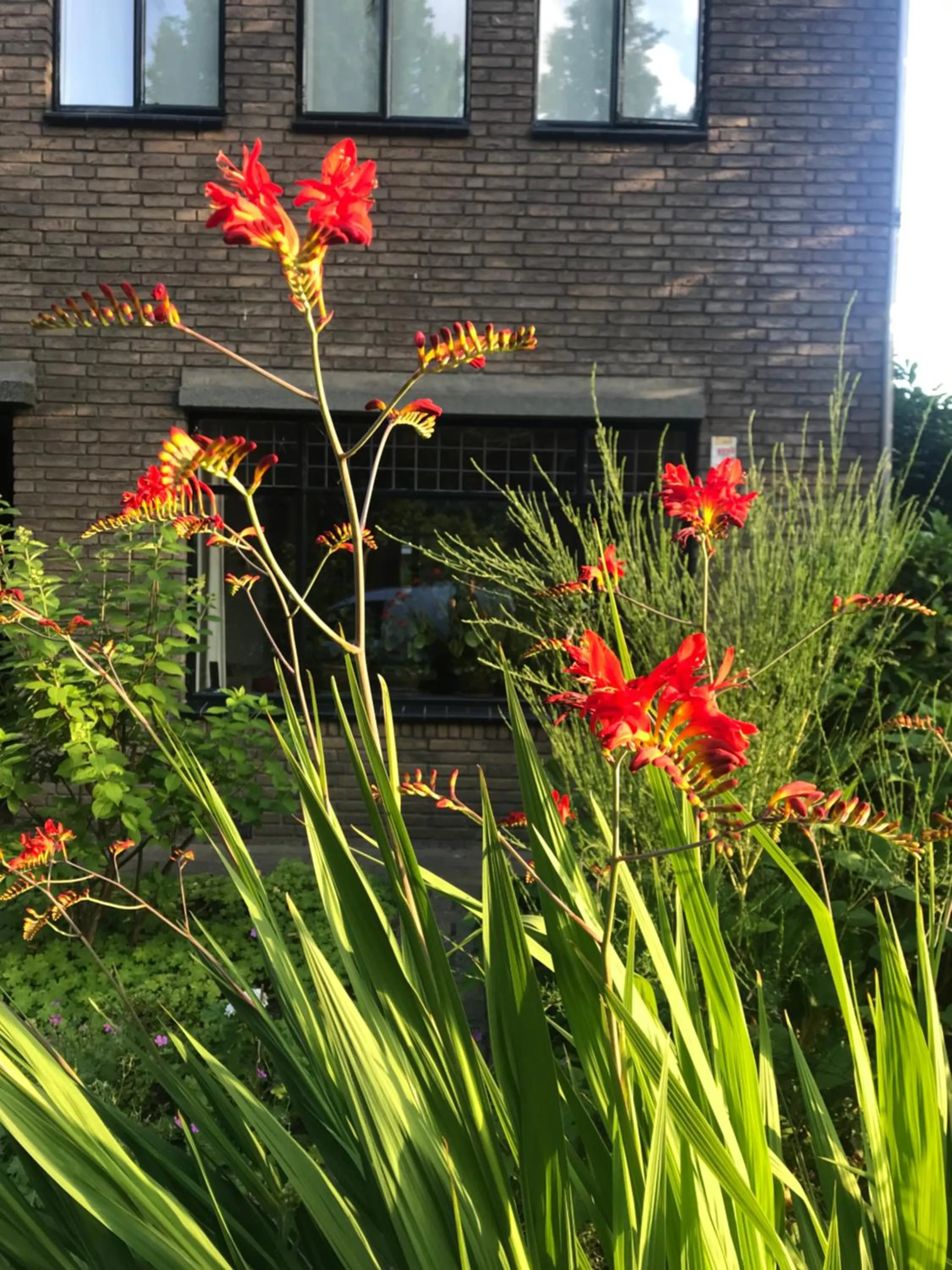 Property building in Eikenburg B&B