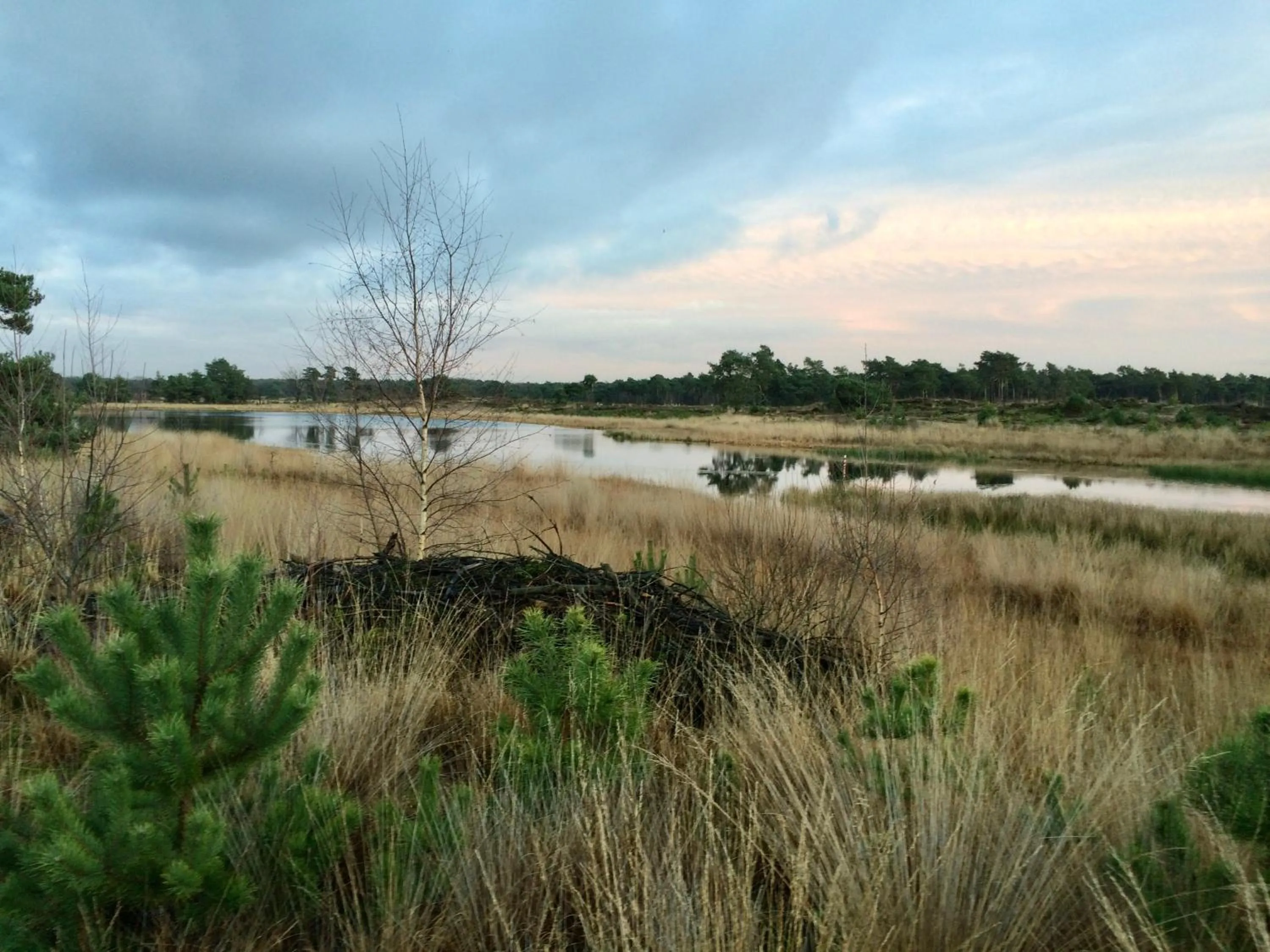 Natural landscape in Eikenburg B&B