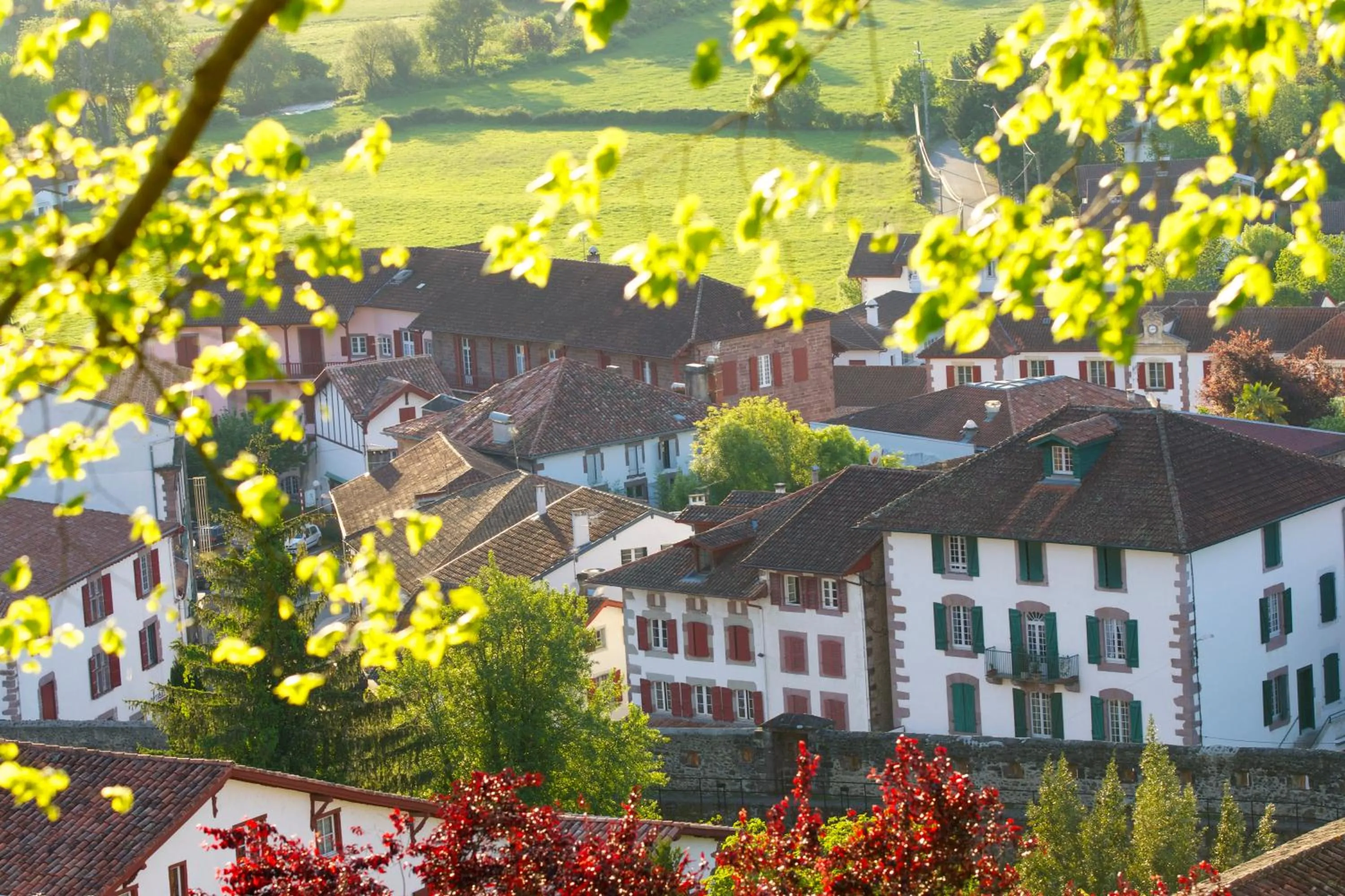 Area and facilities in Chambres d'Hôtes Garicoitz