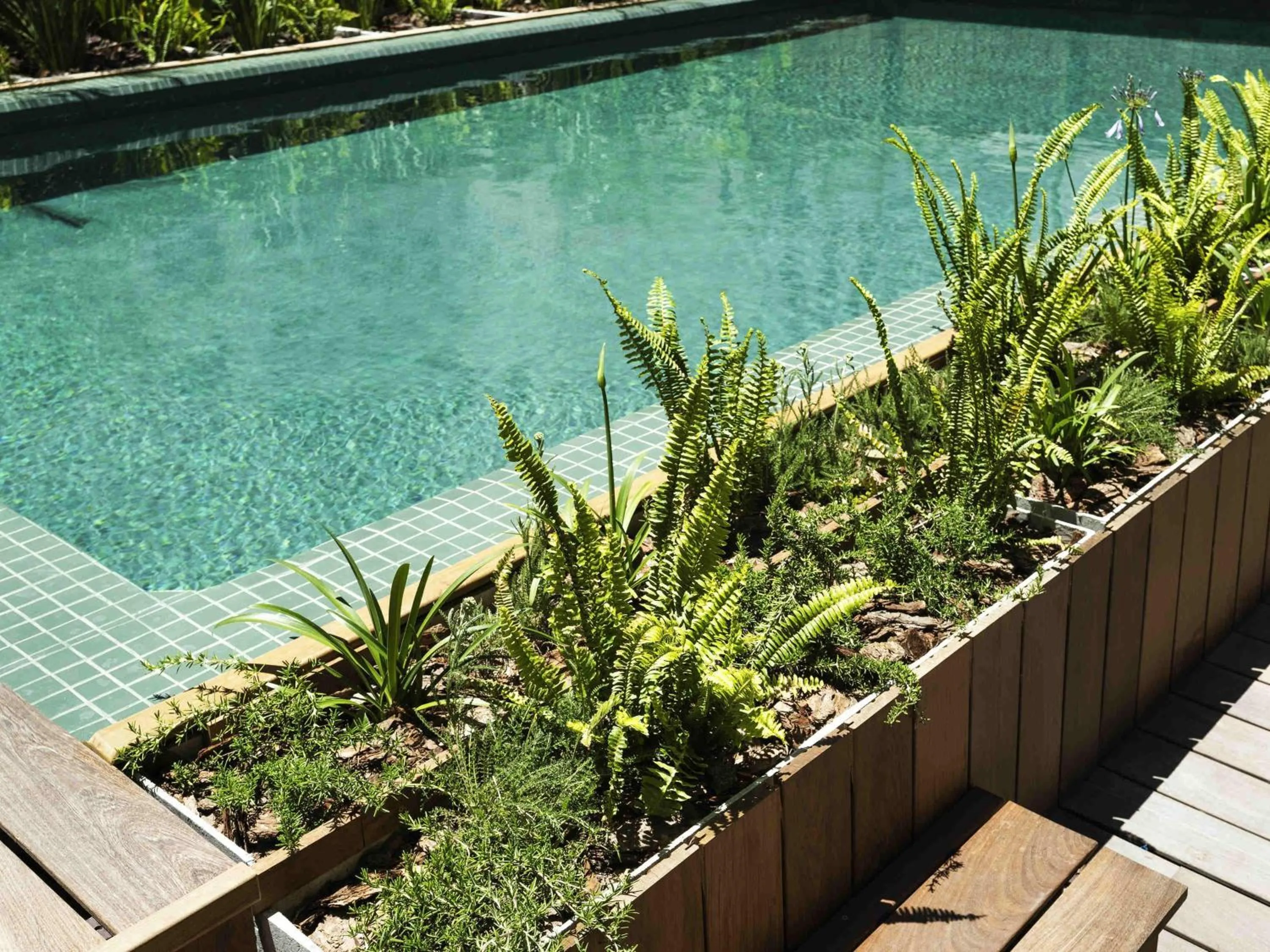 Pool view in Costanero Hotel Montevideo - MGallery Collection
