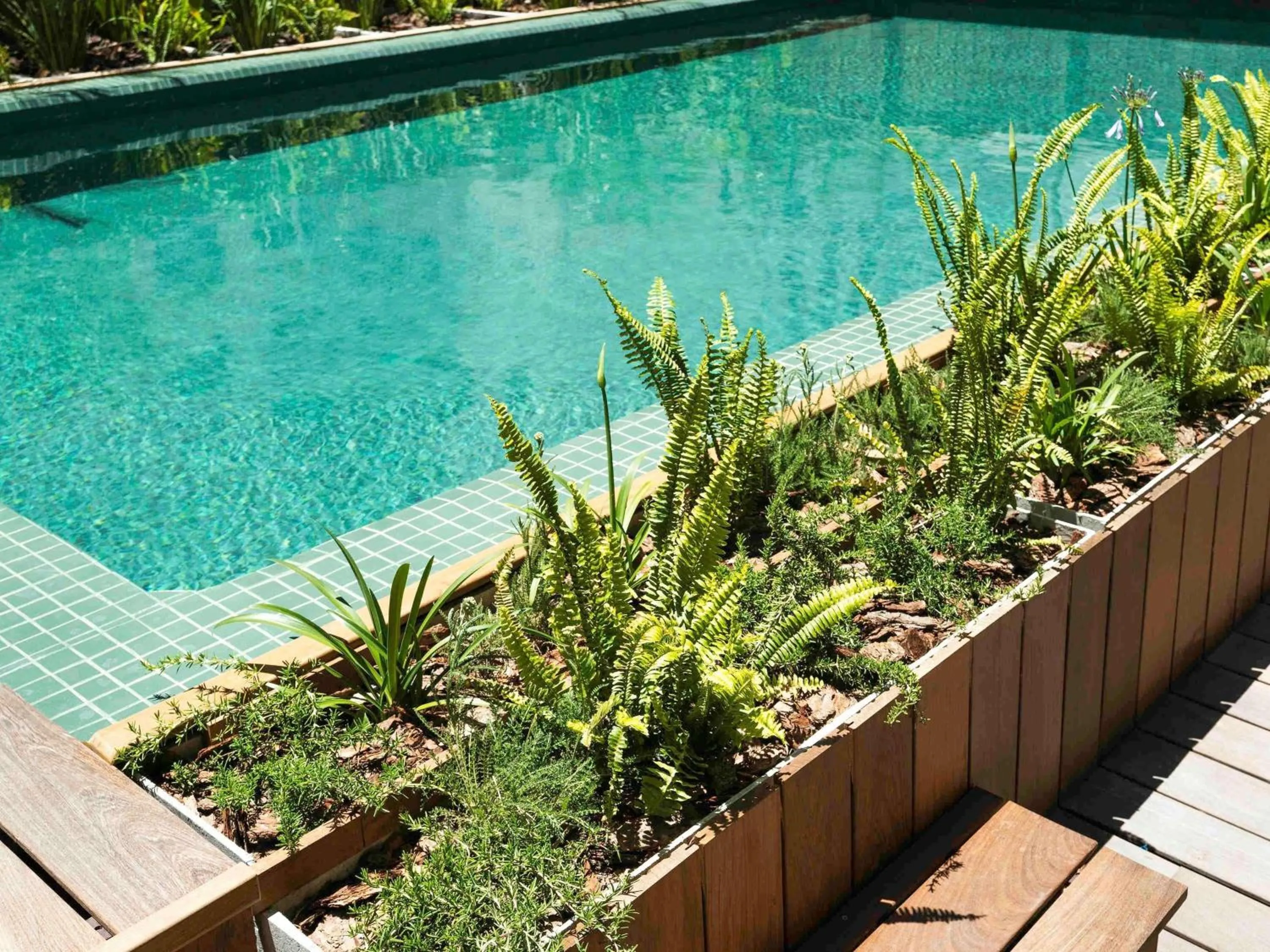 Pool view in Costanero Hotel Montevideo - MGallery Collection