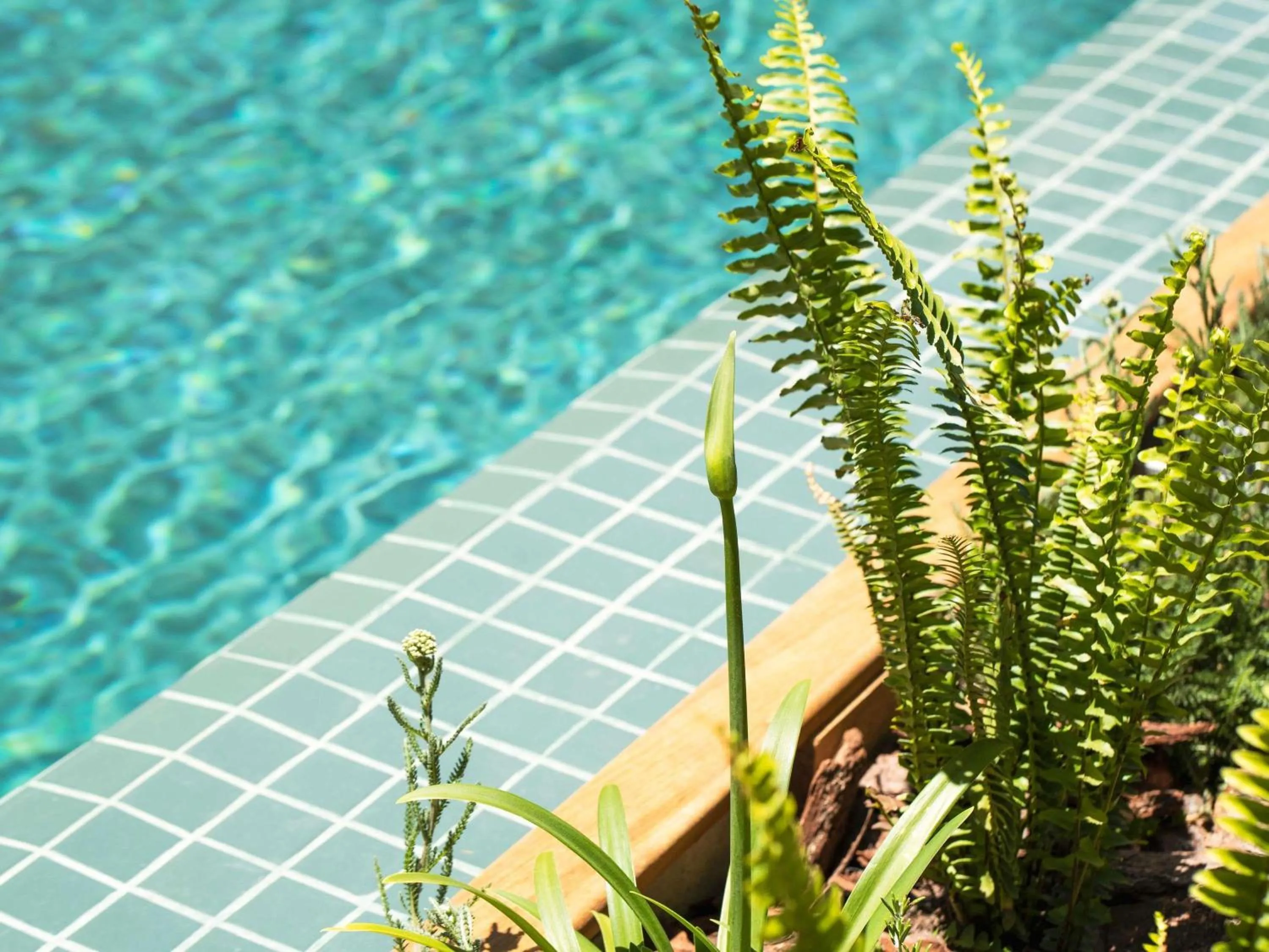 Pool view in Costanero Hotel Montevideo - MGallery Collection