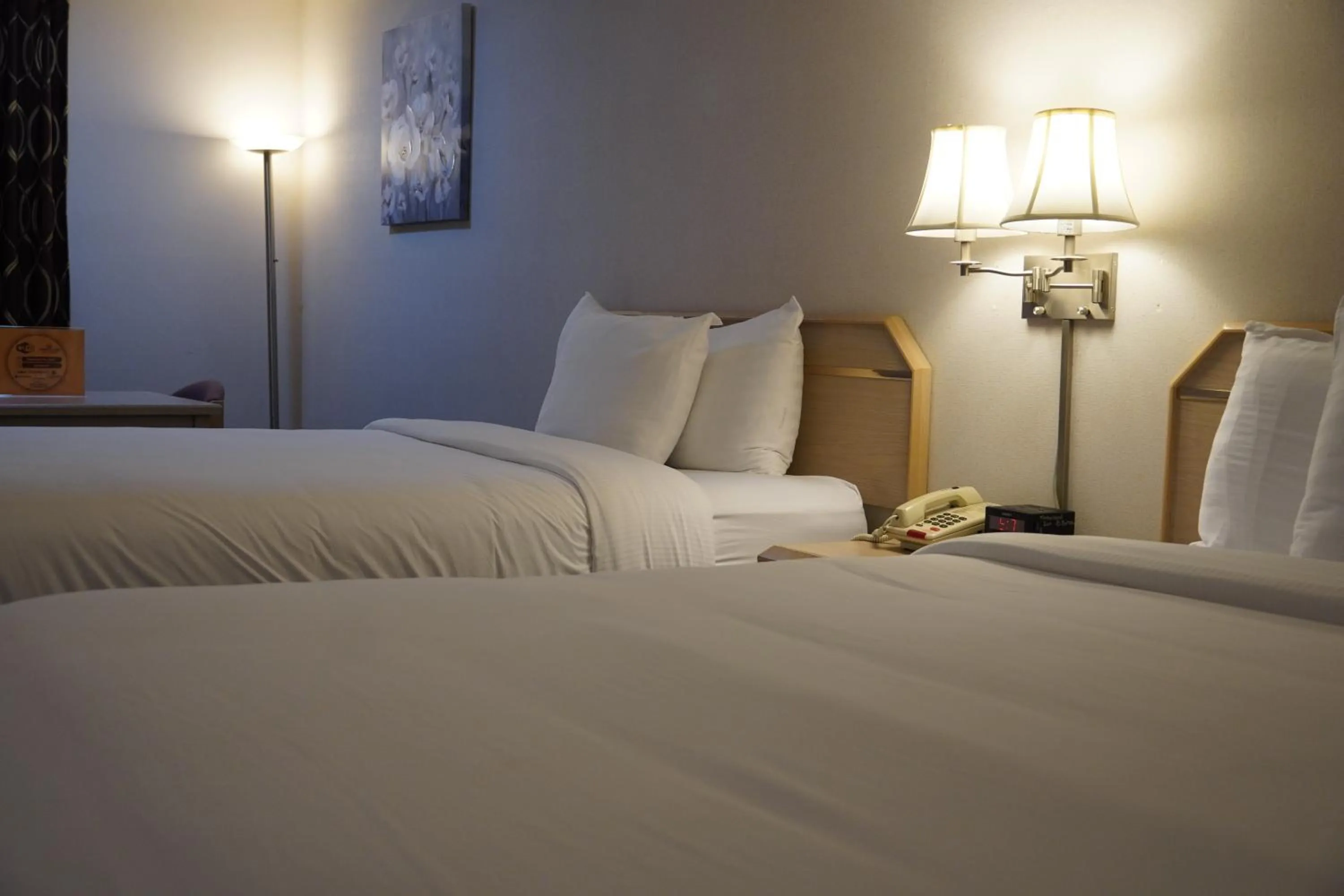 Bedroom, Bed in Timberland Inn & Suites