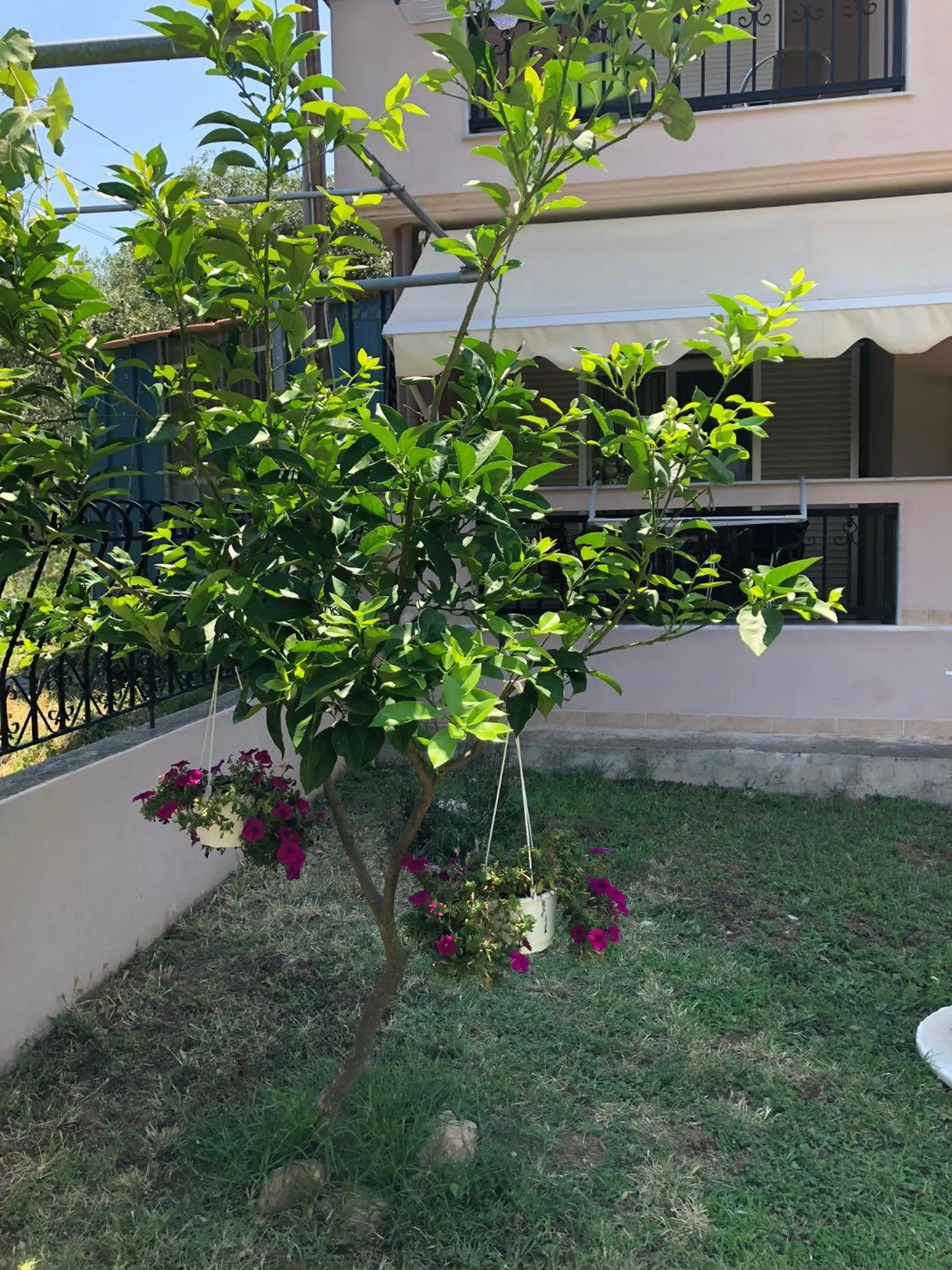 Patio in Villa Mary 1 & fresh!