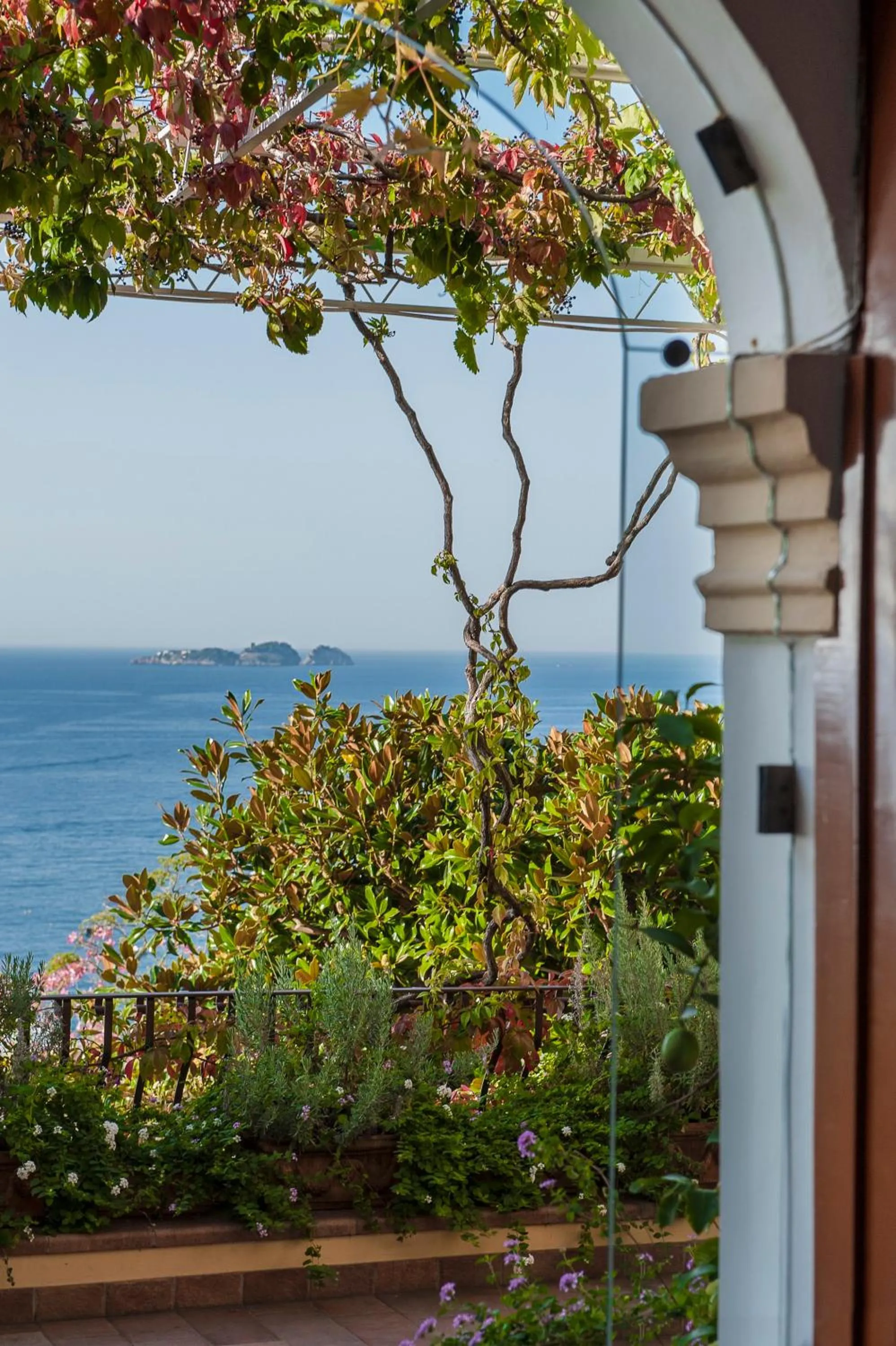 View (from property/room) in Albergo California