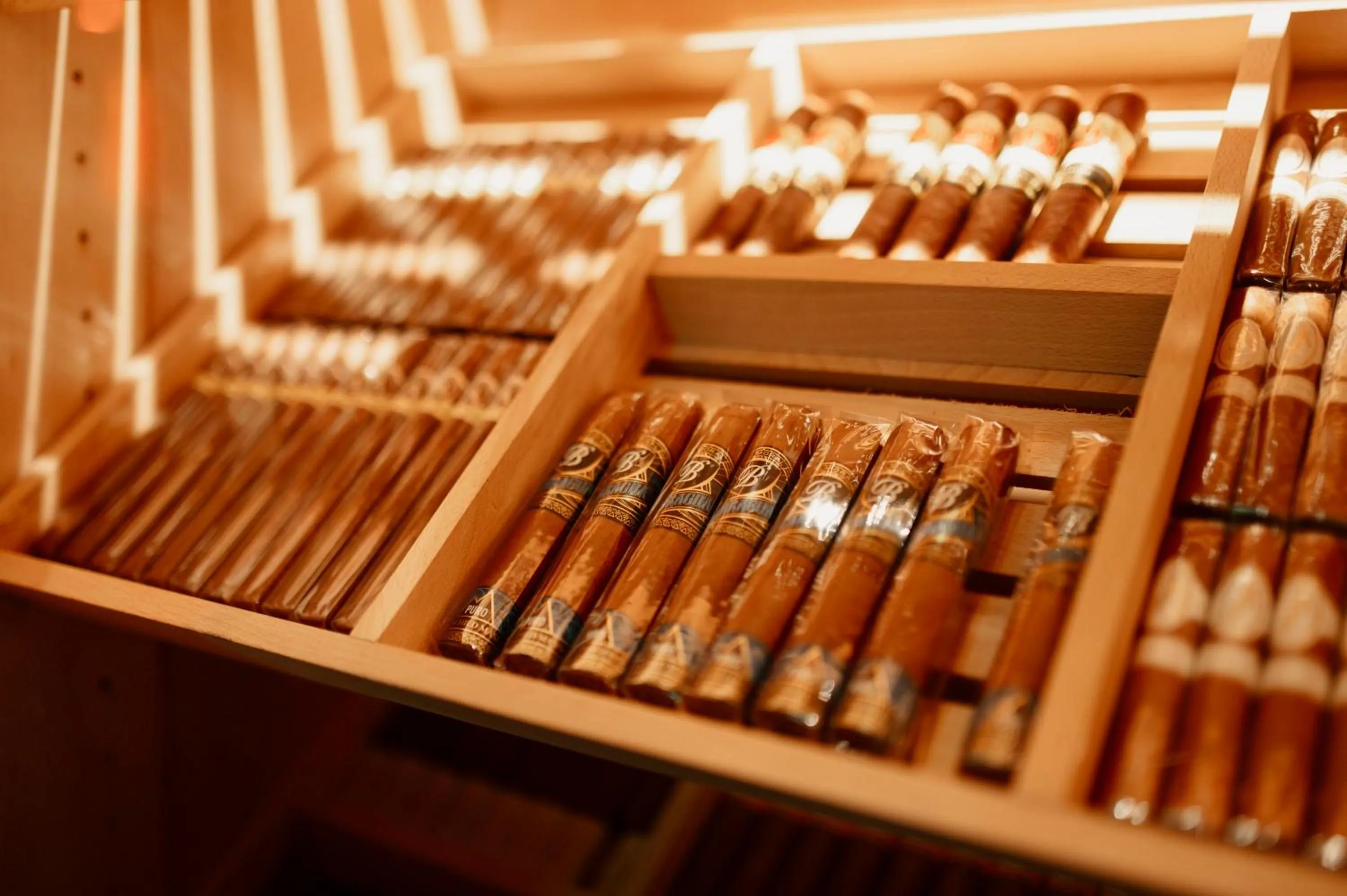 Banquet/Function facilities in Hotel Dali Val d'Europe, Tapestry Collection by Hilton