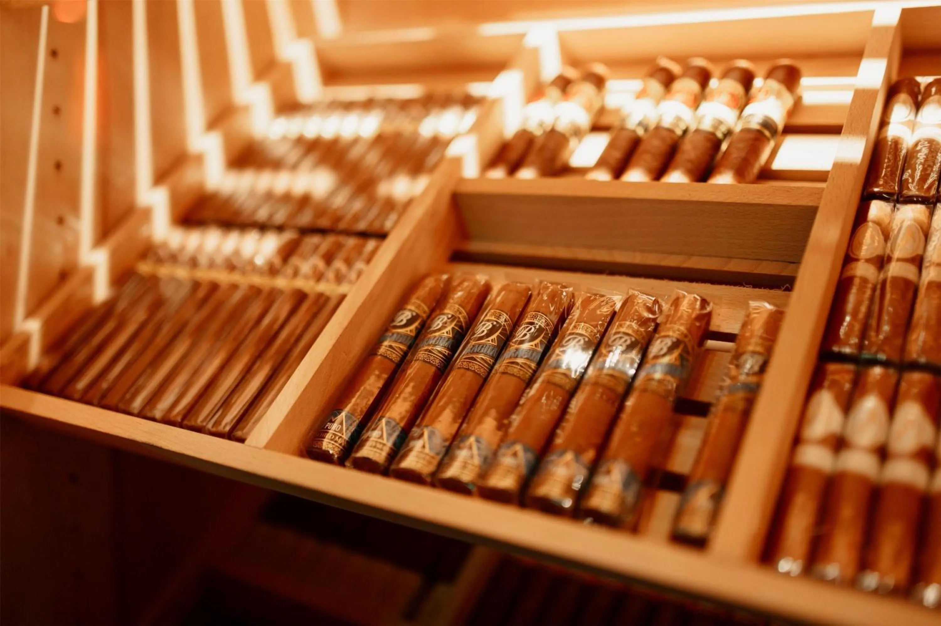 Lounge or bar in Hotel Dali Val d'Europe, Tapestry Collection by Hilton