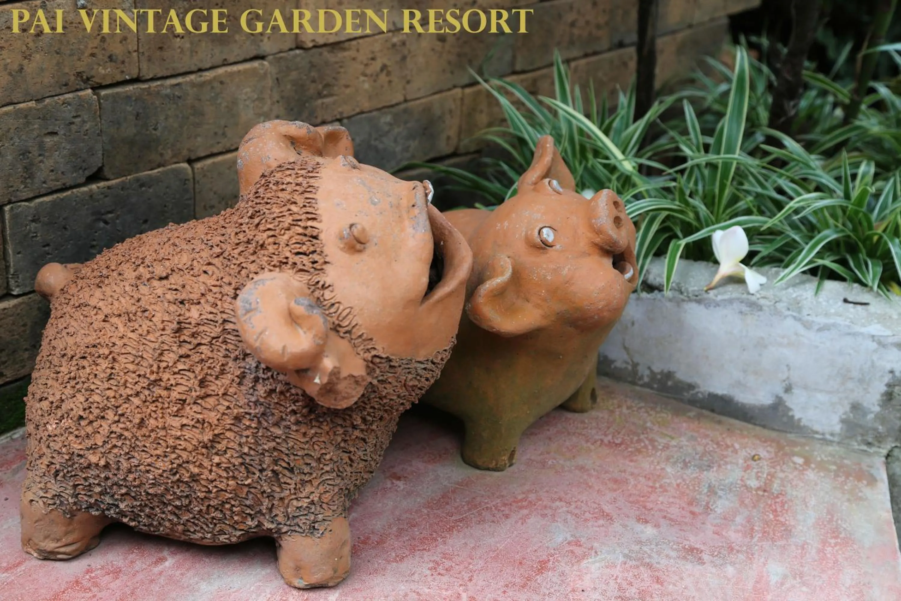 Area and facilities in Pai Vintage Garden Resort