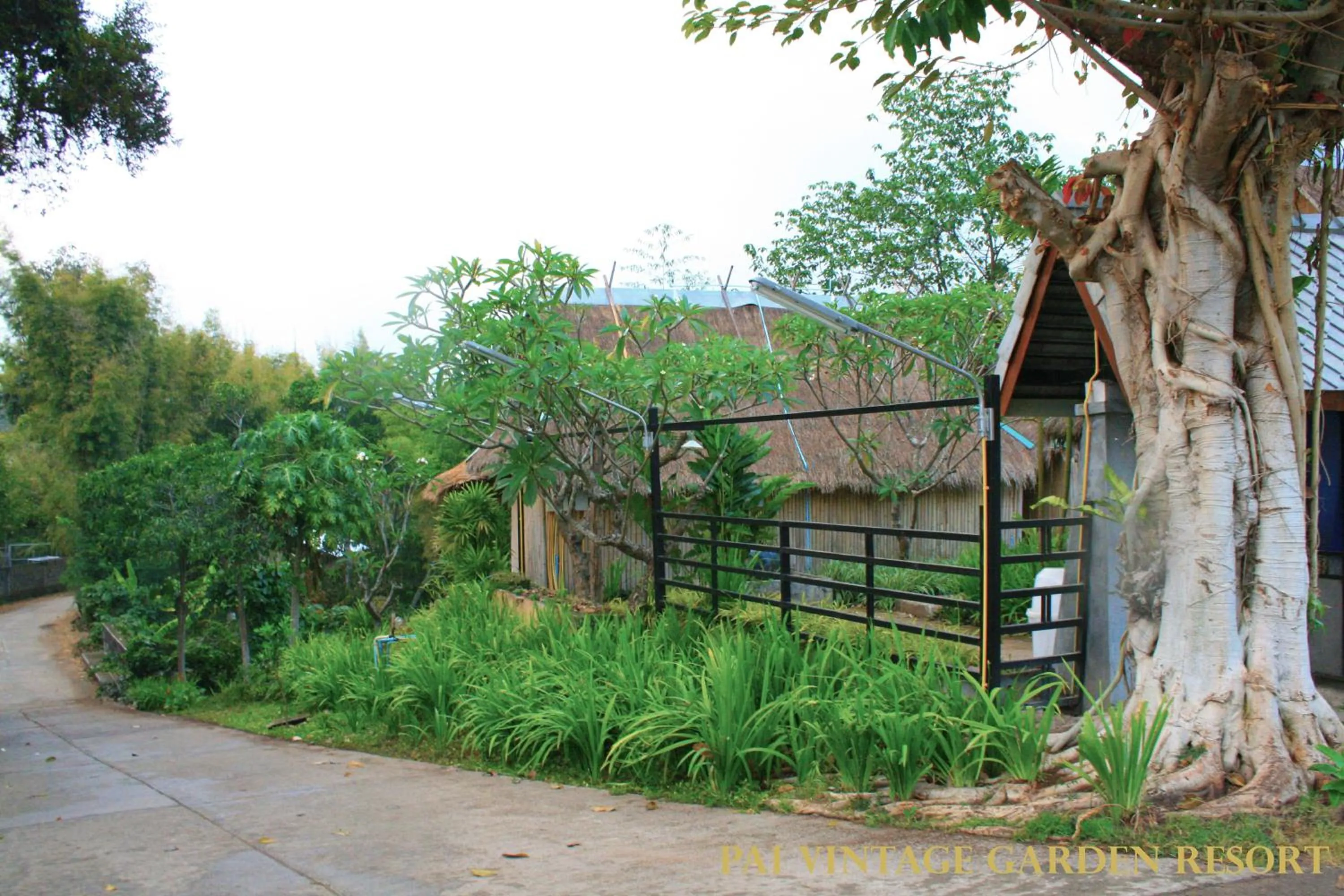 Facade/entrance in Pai Vintage Garden Resort