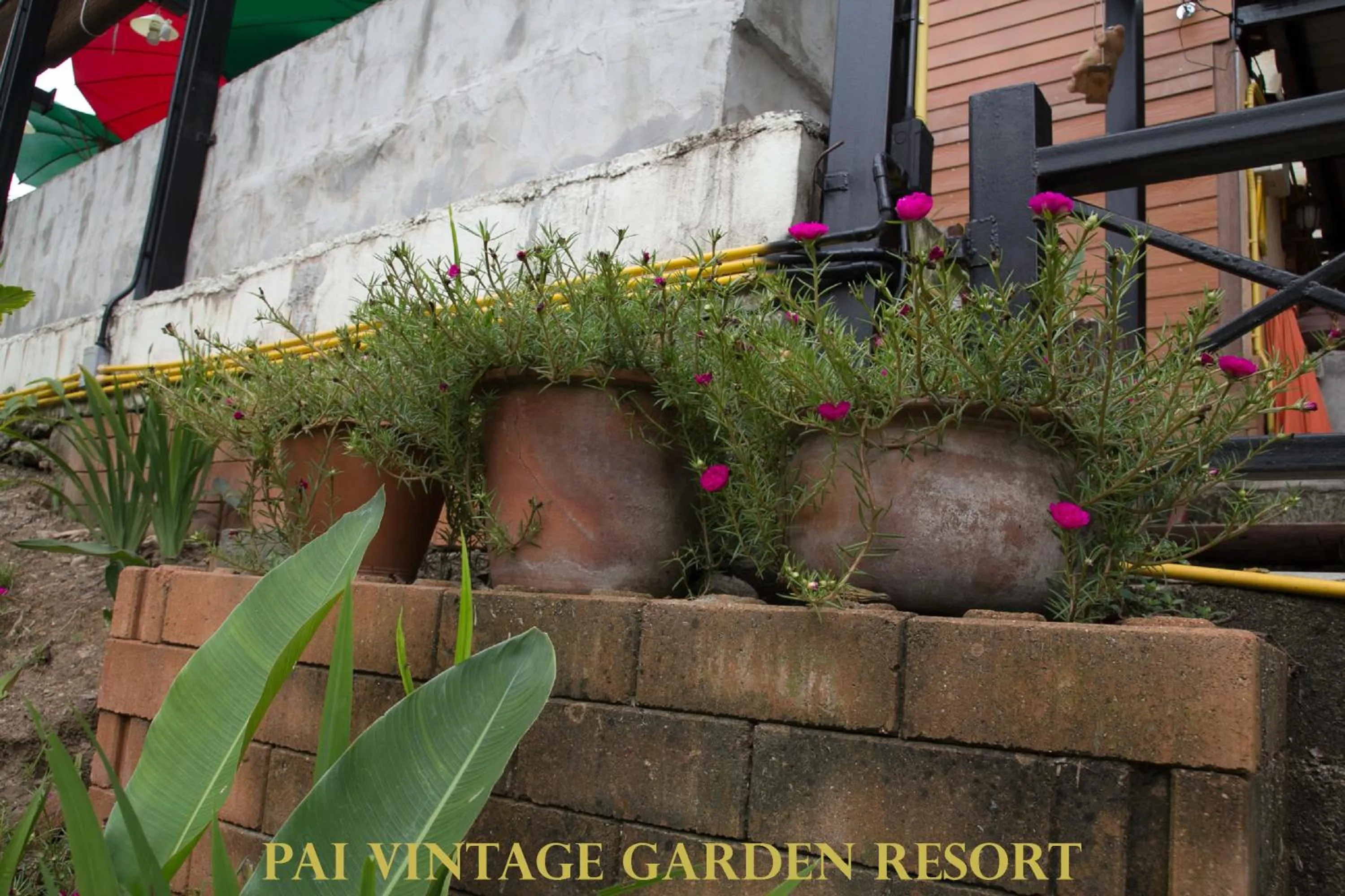 Facade/entrance in Pai Vintage Garden Resort