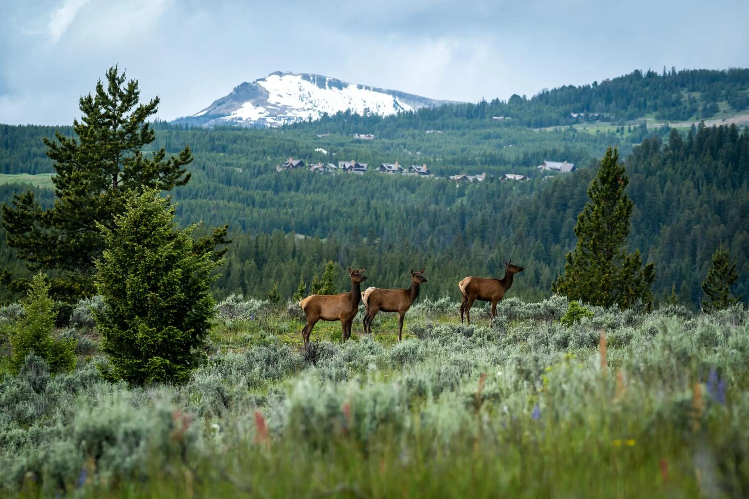 Day in Castle in the Sky Unit X