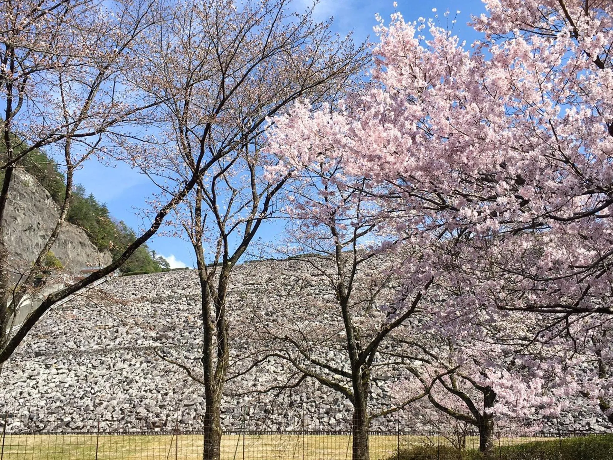 Hatake no Oyado - Vacation STAY 74494v