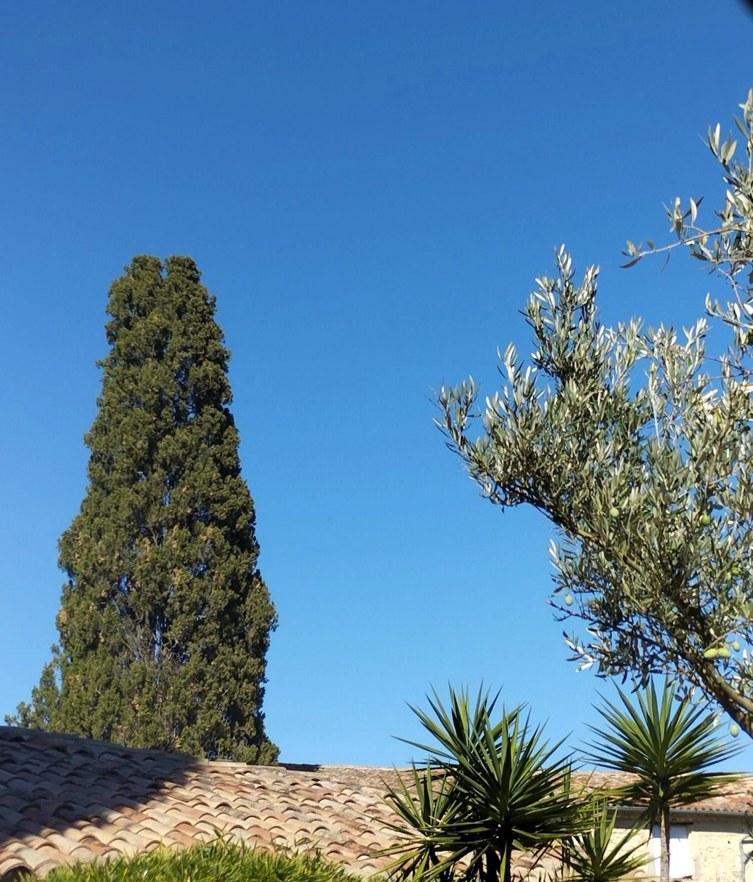 Garden in Logis Hotel Restaurant L'Esquielle