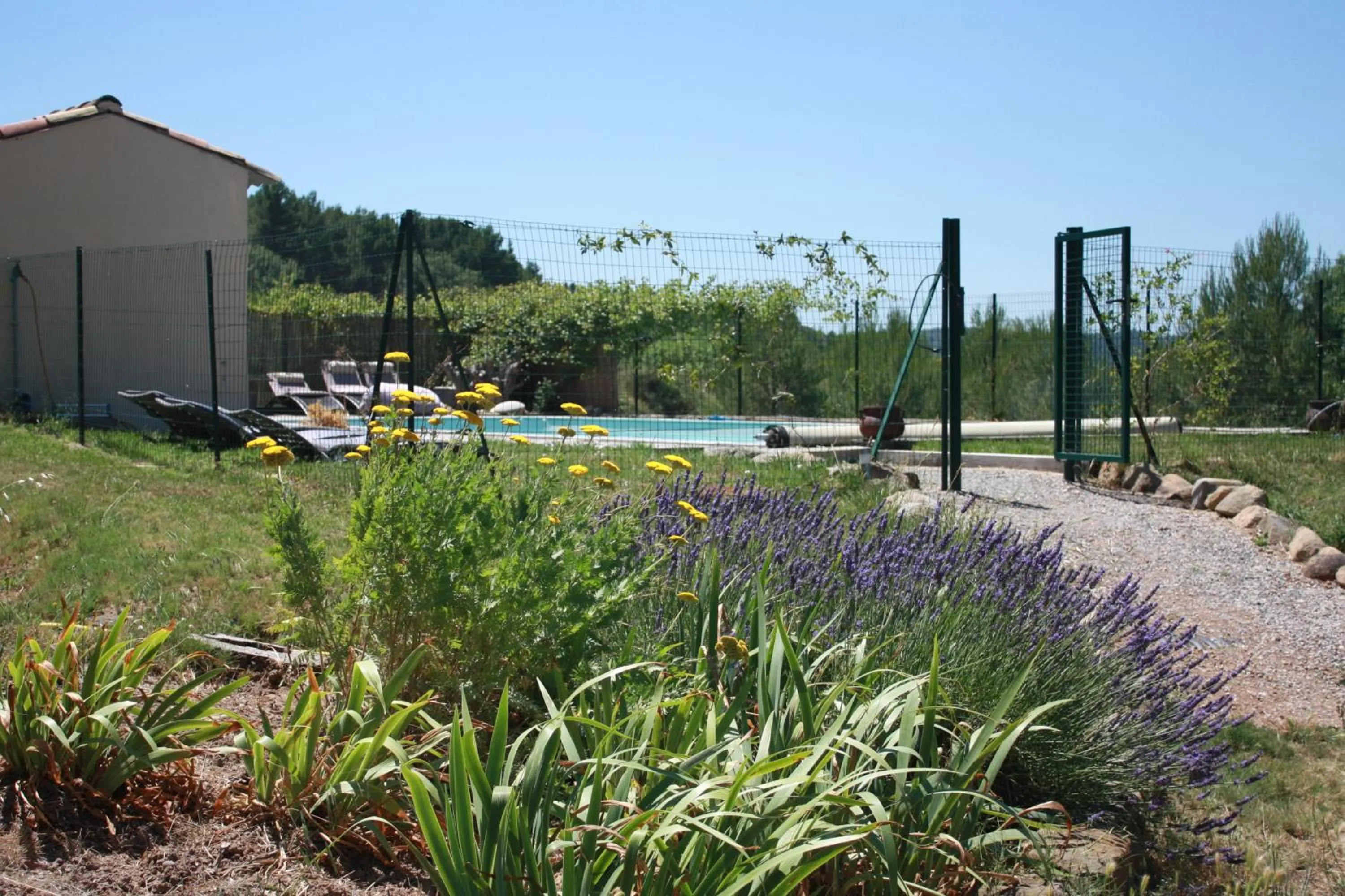 Garden in Domaine de "Creva-Tinas"