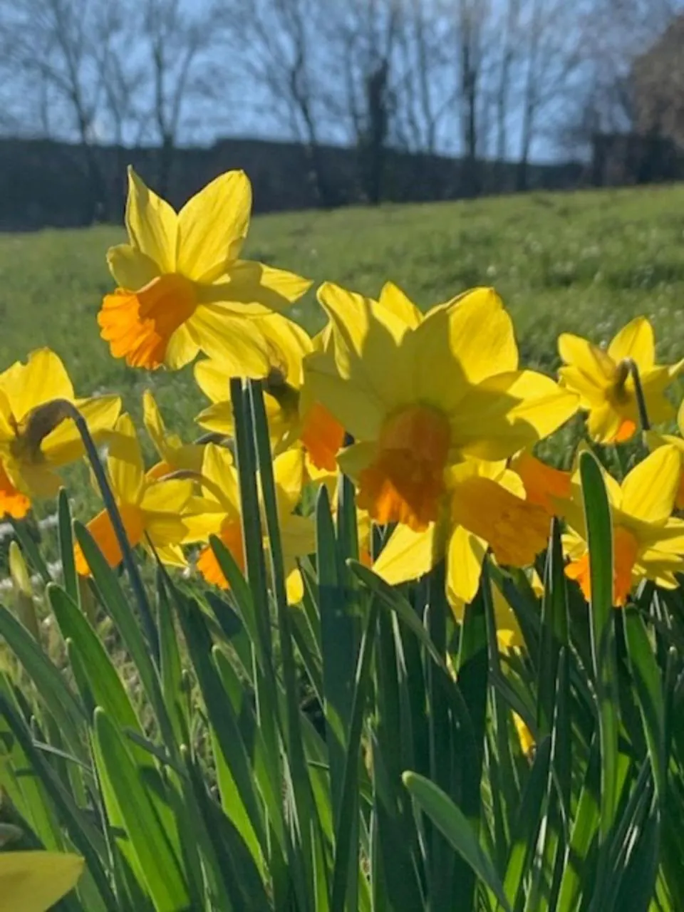 Natural landscape in Logis Hotel Du Chateau