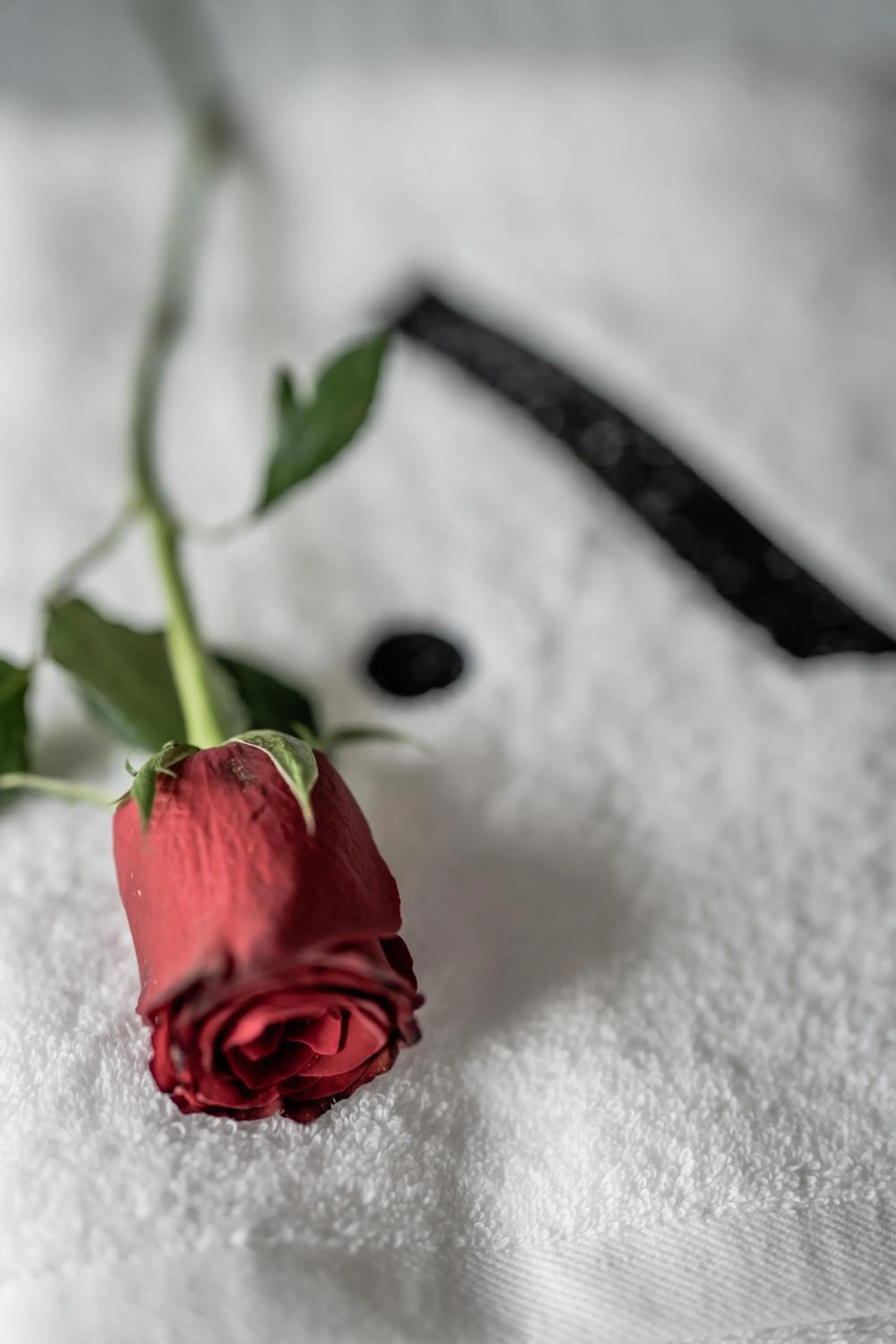 Athinaion Recreation Suites